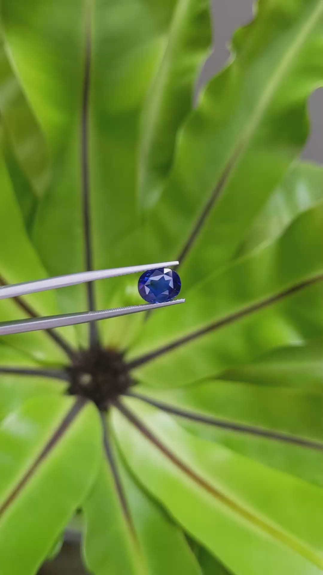 3.03 Ct. Blue Sapphire from Ceylon (Sri Lanka) Size Video