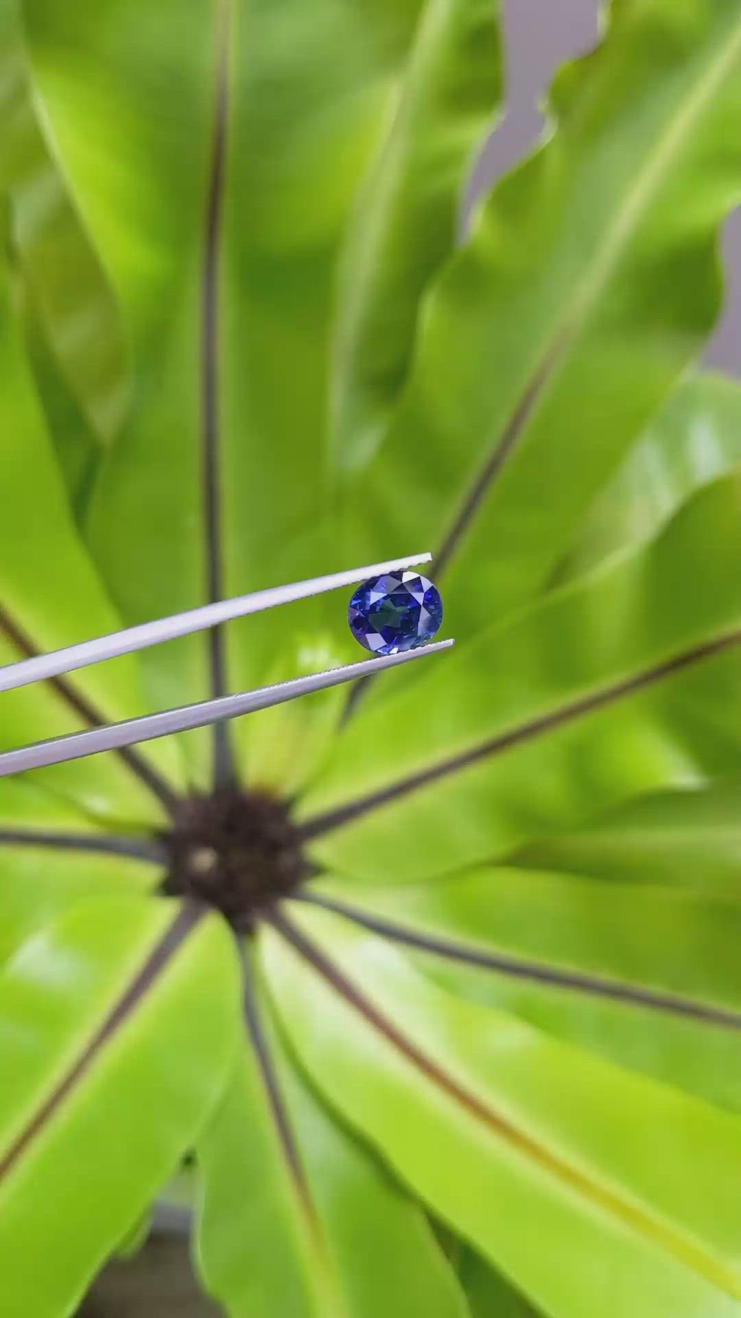 2.98 Ct. Blue Sapphire from Ceylon (Sri Lanka) Size Video