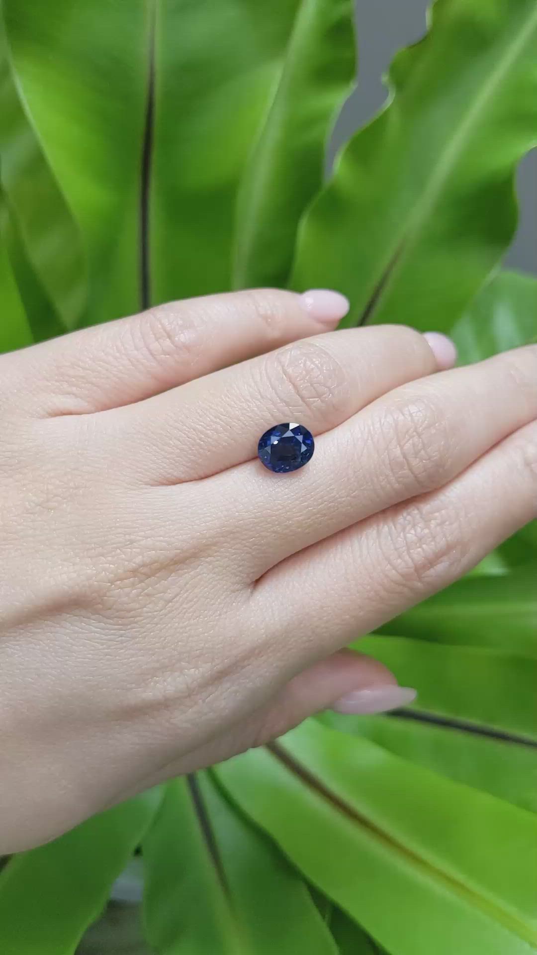 2.98 Ct. Blue Sapphire from Ceylon (Sri Lanka) Size Video