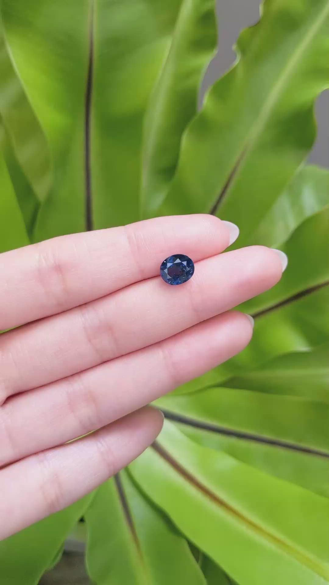 2.98 Ct. Blue Sapphire from Ceylon (Sri Lanka) Size Video