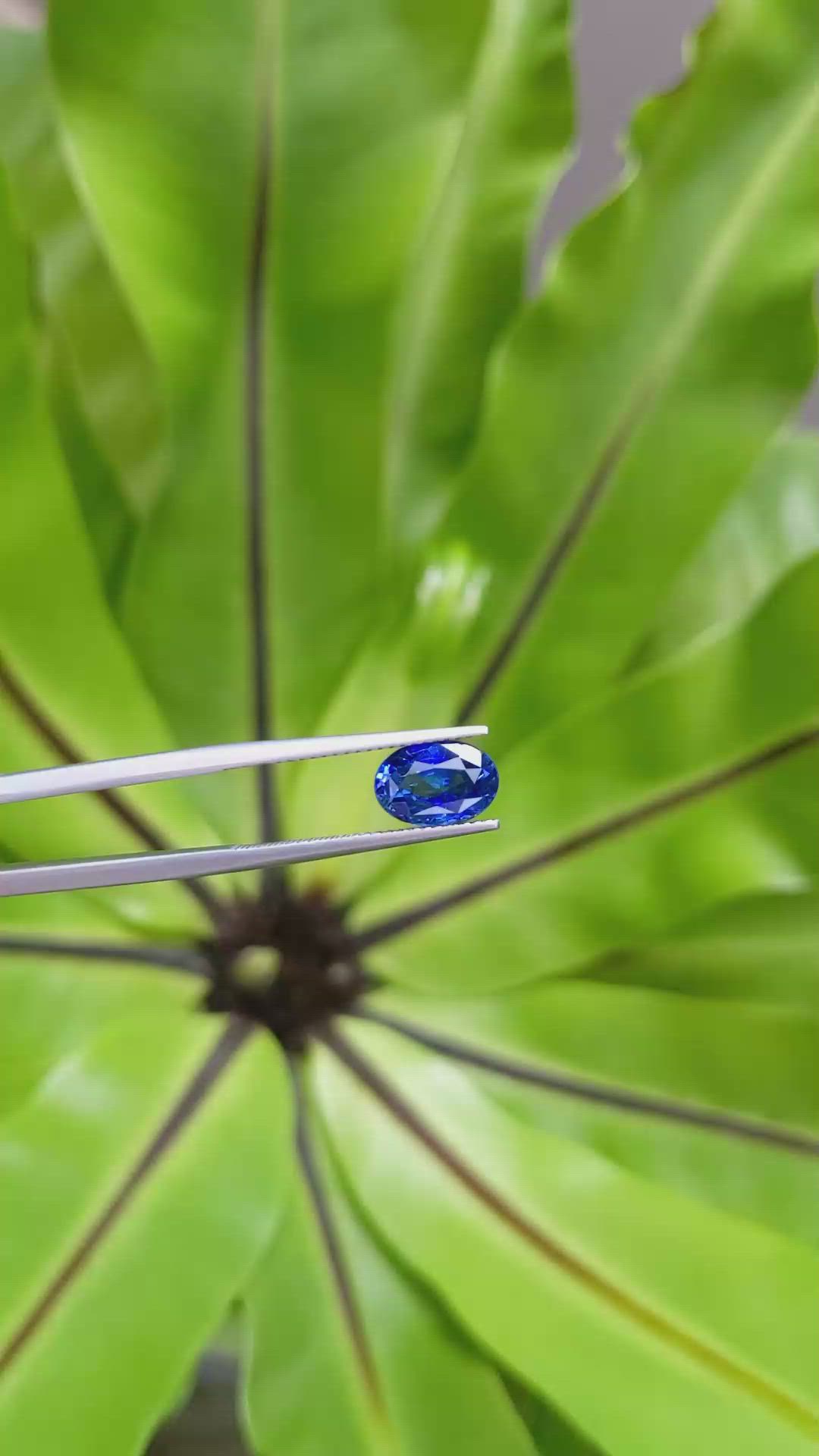 2.97 Ct. Blue Sapphire from Madagascar Size Video