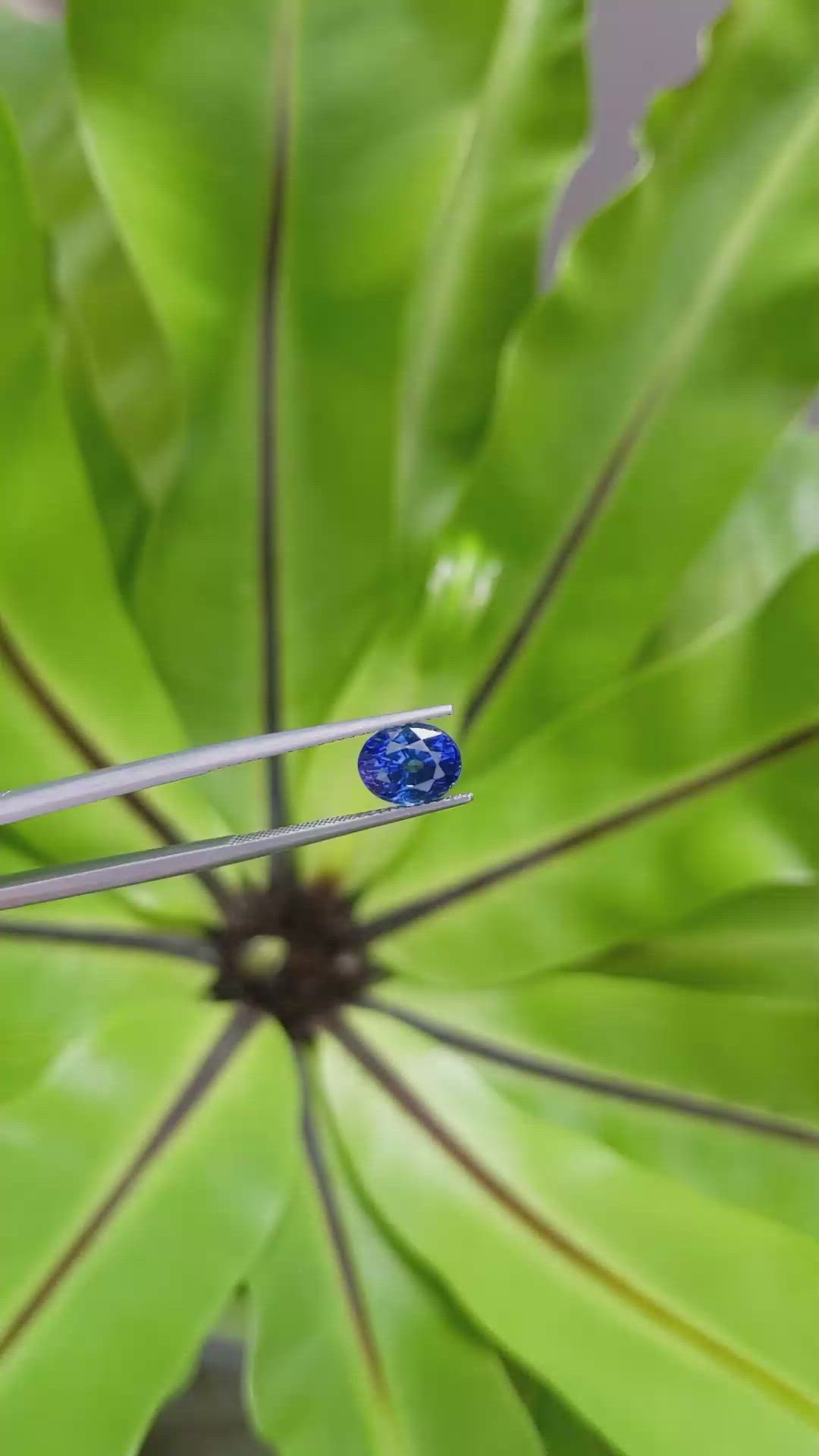 3.05 Ct. Blue Sapphire from Madagascar Size Video