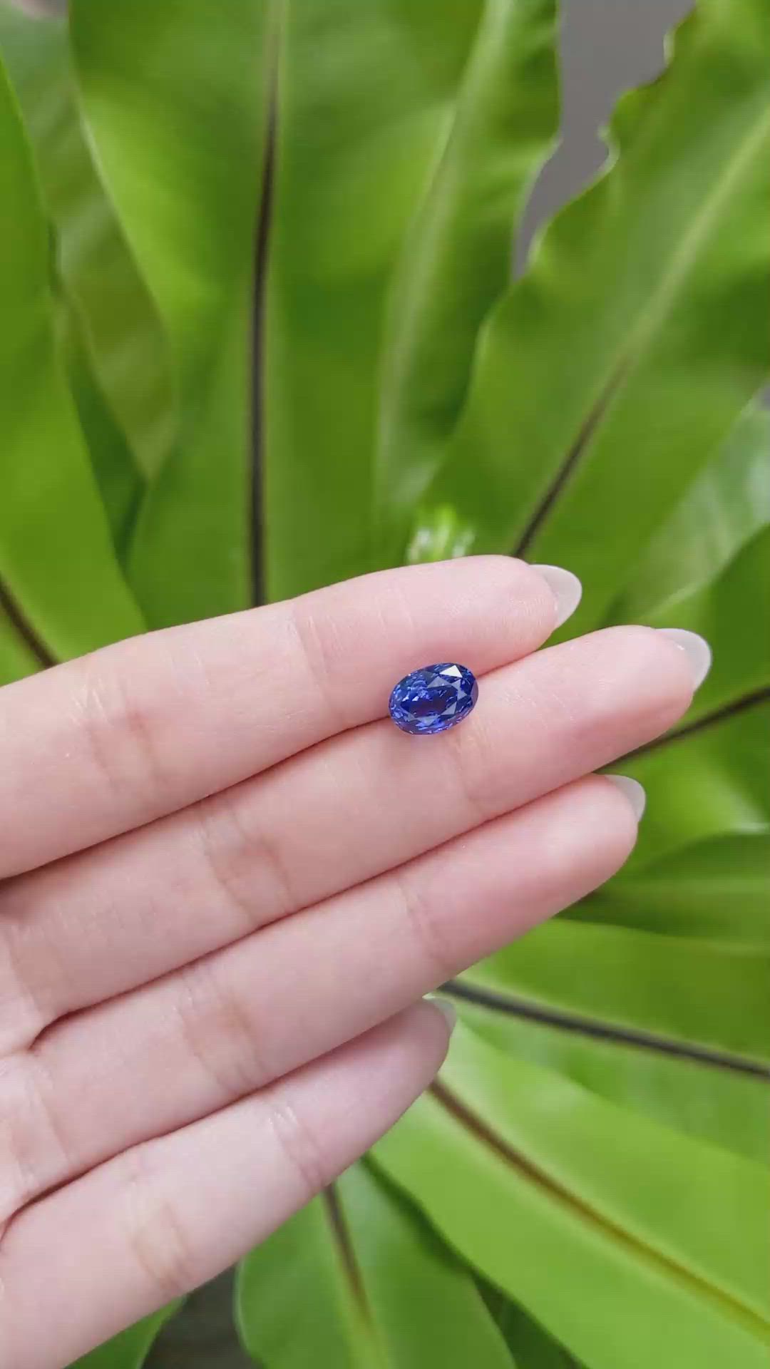 3.17 Ct. Blue Sapphire from Madagascar Size Video