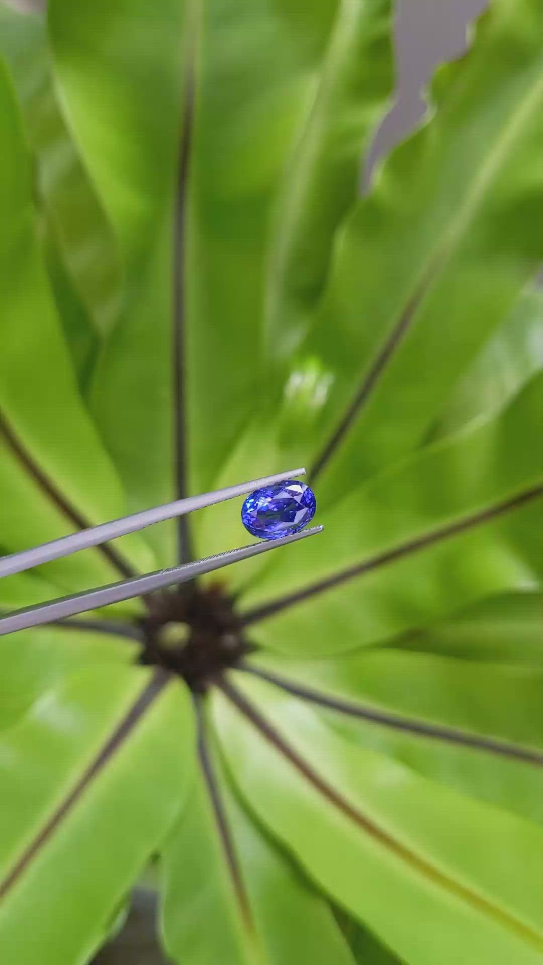 3.17 Ct. Blue Sapphire from Madagascar Size Video