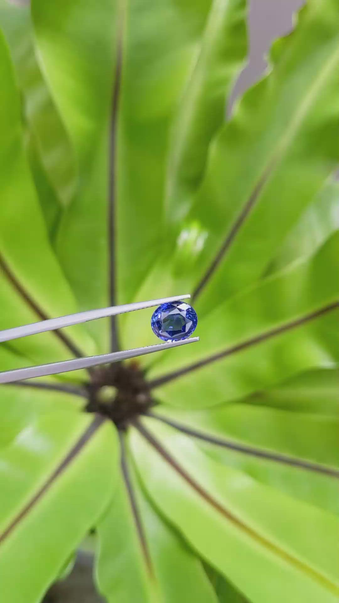 3.01 Ct. Blue Sapphire from Madagascar Size Video