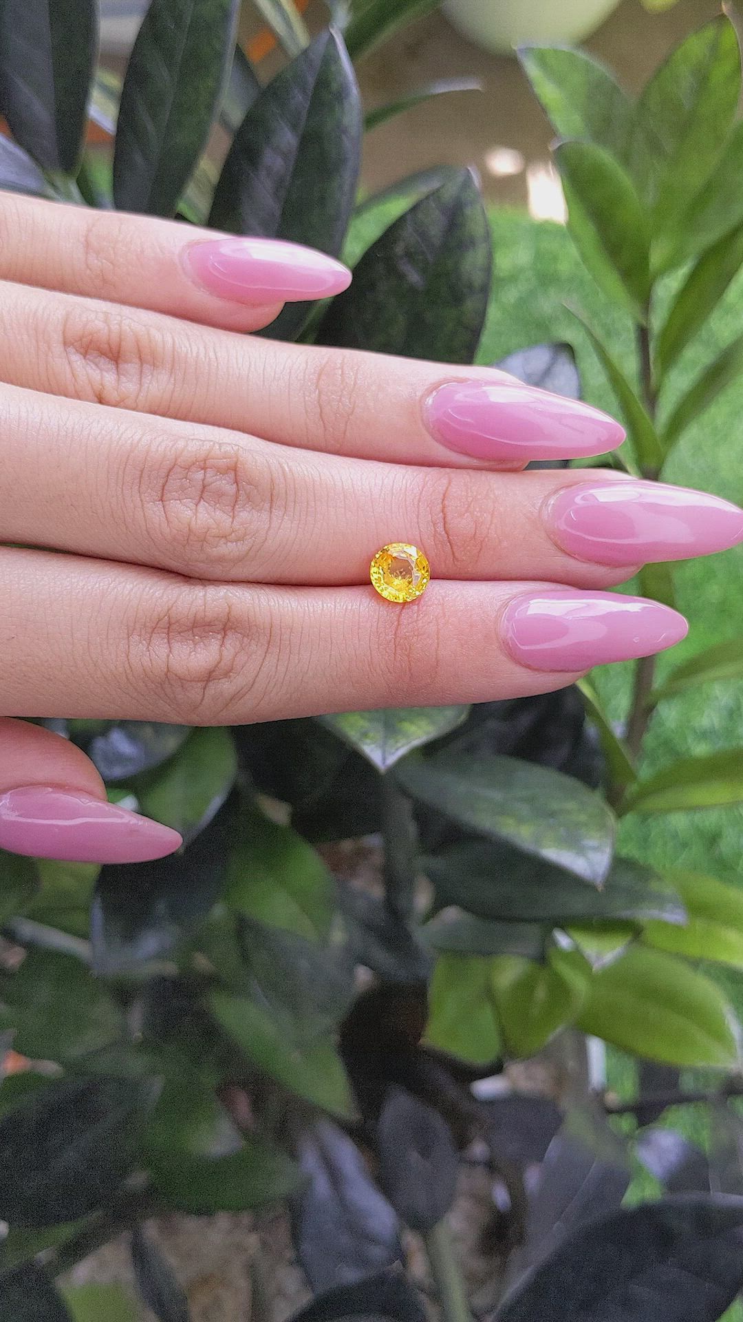 1.53 Ct. Yellow Sapphire from Ceylon (Sri Lanka) Size Video