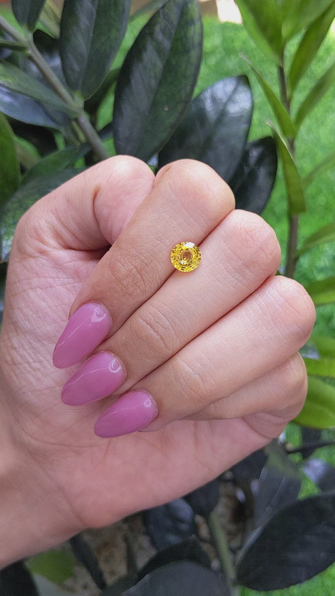 1.53 Ct. Yellow Sapphire from Ceylon (Sri Lanka) Size Video