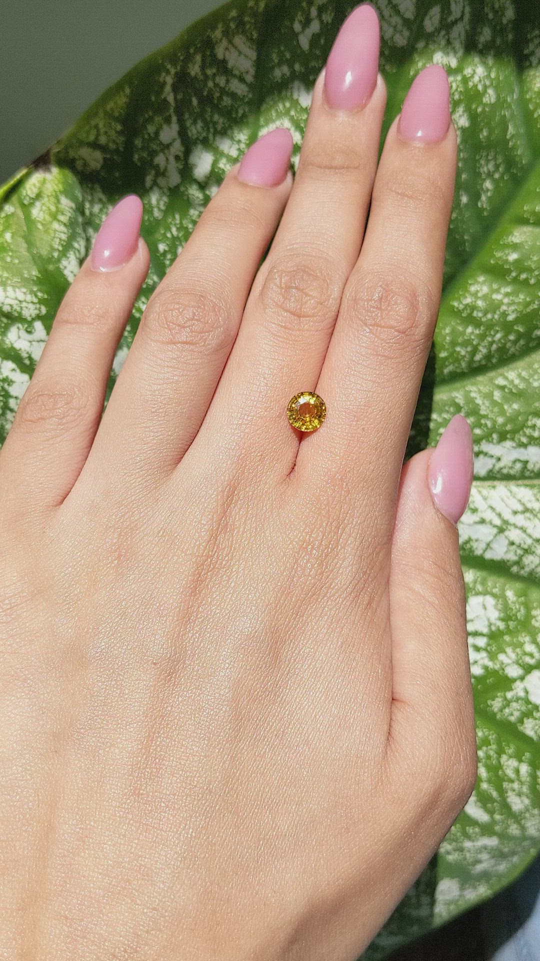 1.53 Ct. Yellow Sapphire from Ceylon (Sri Lanka) Size Video