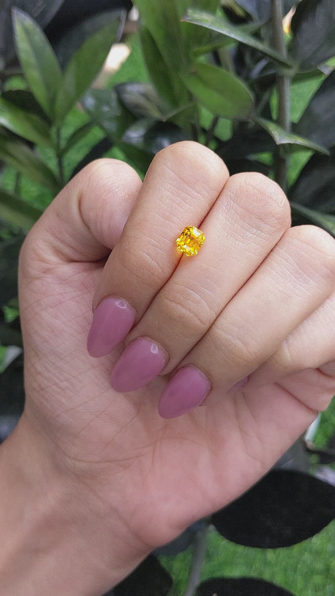 1.72 Ct. Orangish Yellow Sapphire from Ceylon (Sri Lanka) Size Video