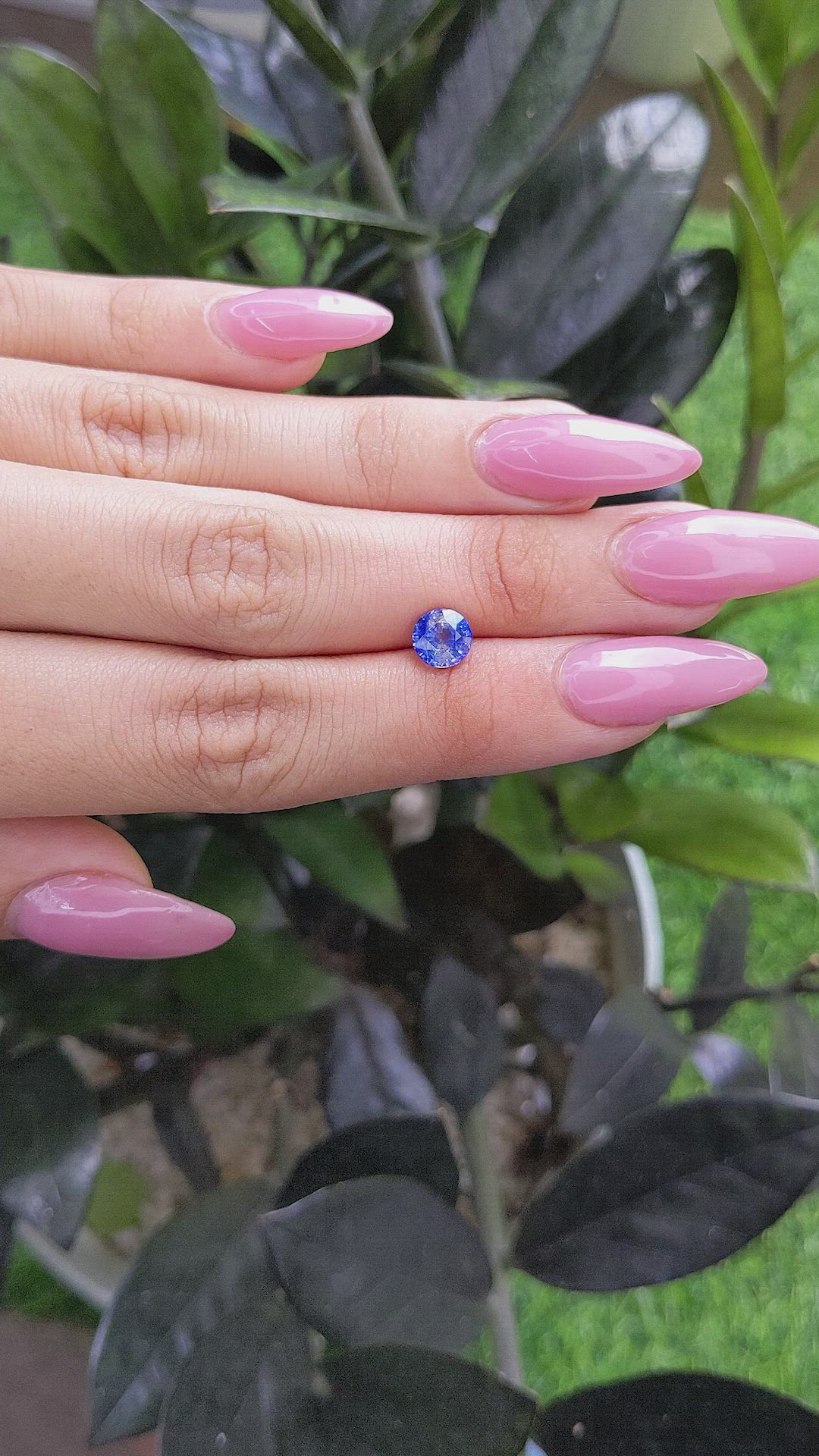 1.44 Ct. Bi Color Sapphire from Ceylon (Sri Lanka) Size Video