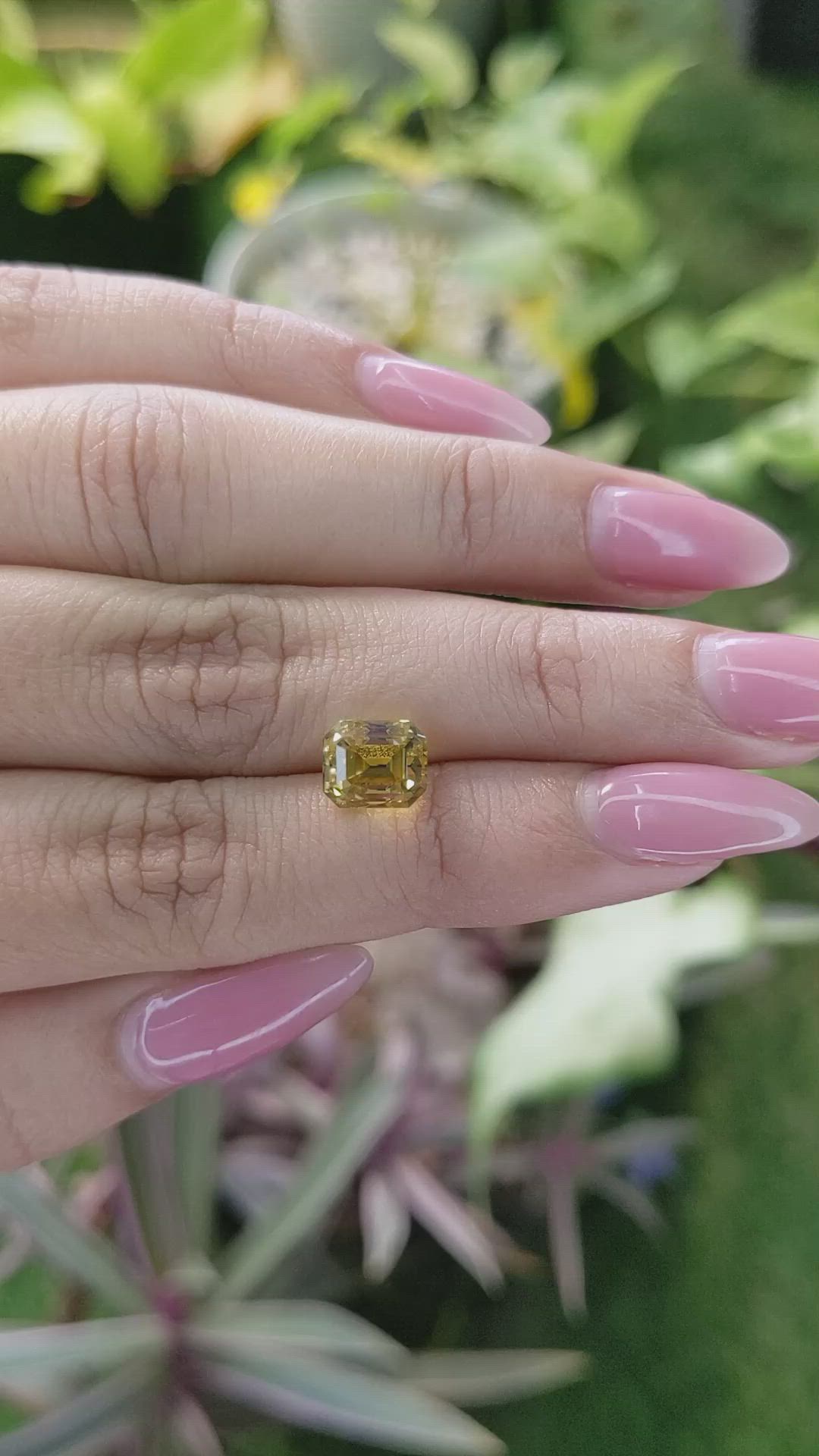 4.11 Ct. Yellow Sapphire from Ceylon (Sri Lanka) Size Video