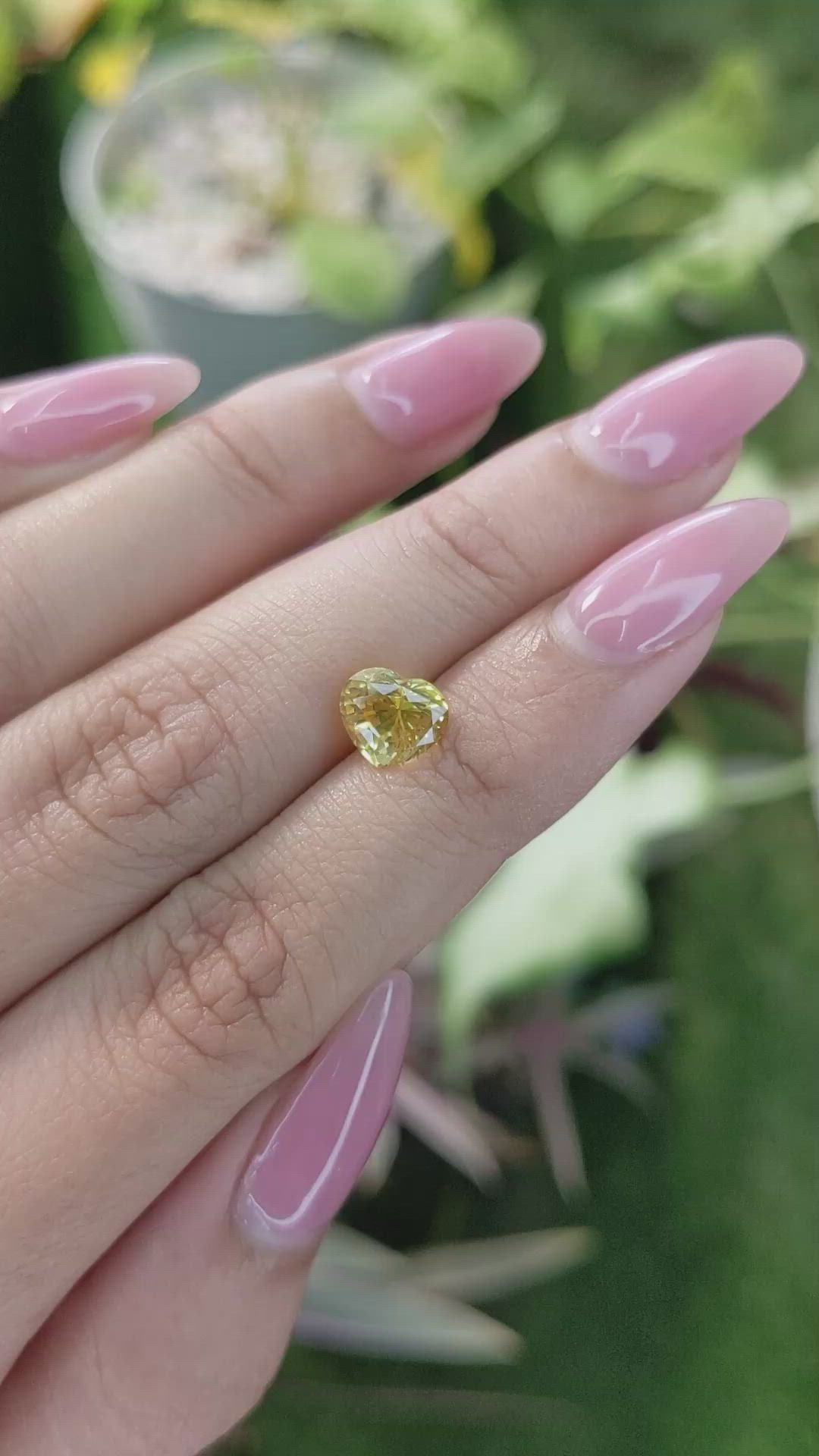 2.10 Ct. Yellow Sapphire from Ceylon (Sri Lanka) Size Video