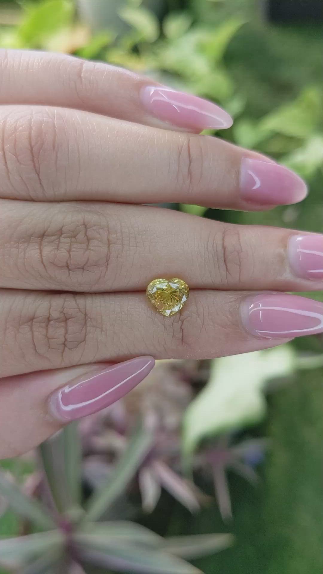 2.10 Ct. Yellow Sapphire from Ceylon (Sri Lanka) Size Video