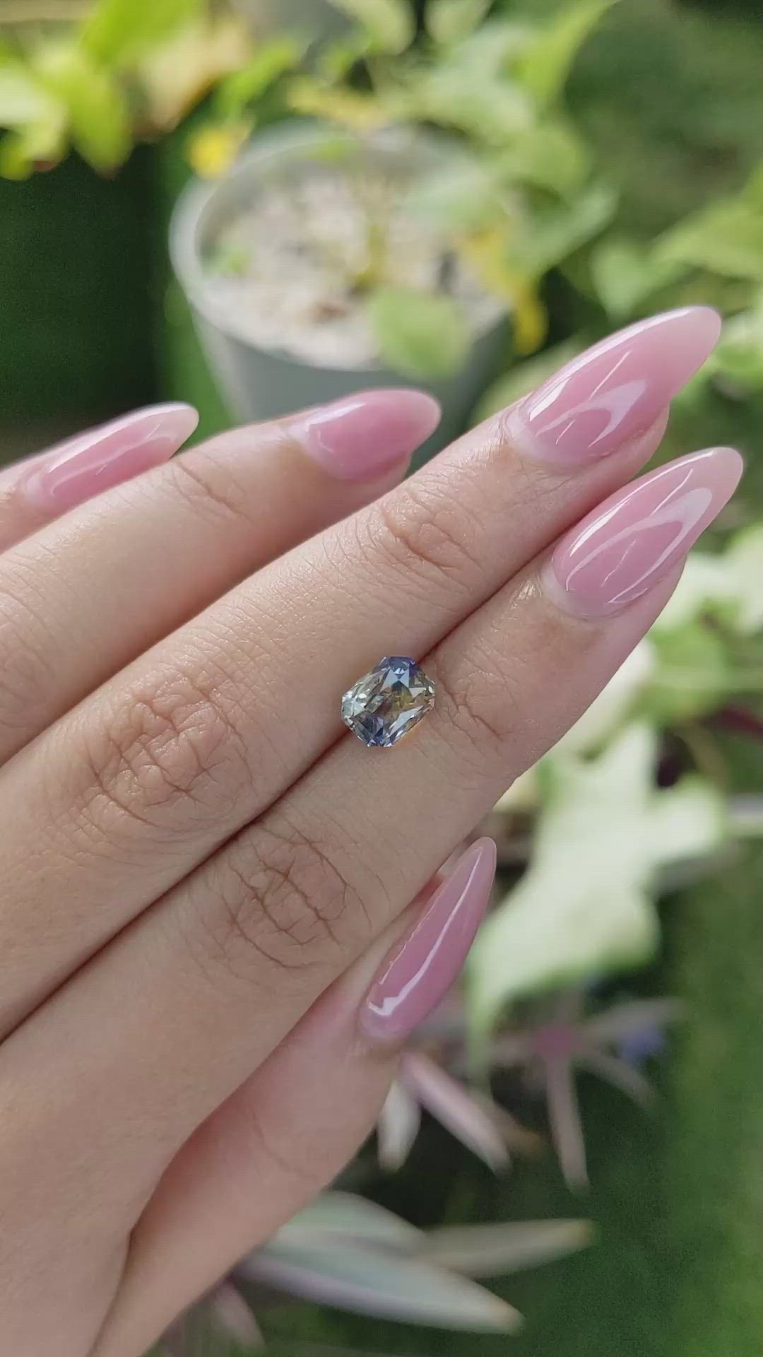 2.47 Ct. Bi Color Sapphire from Ceylon (Sri Lanka) Size Video
