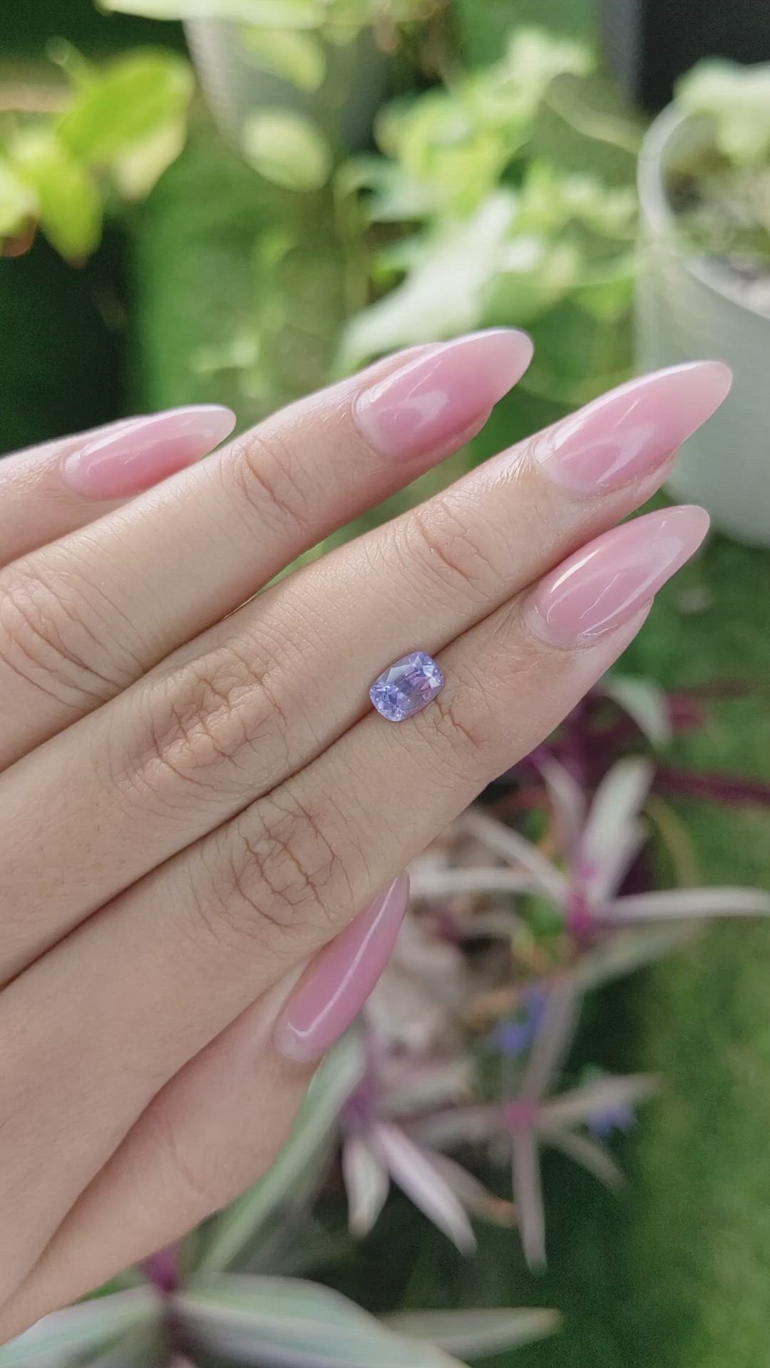 1.18 Ct. Purple Sapphire from Ceylon (Sri Lanka) Size Video