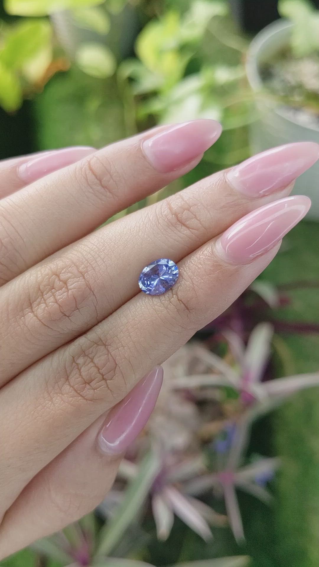 1.32 Ct. Violet Sapphire from Ceylon (Sri Lanka) Size Video