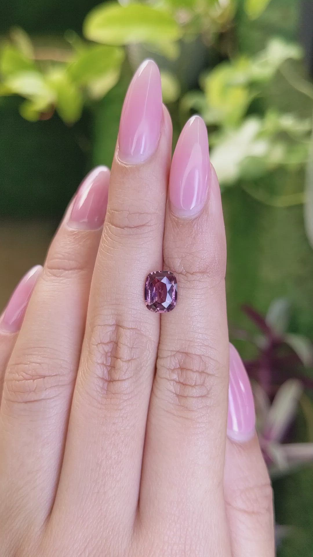 2.01 Ct. Pink Sapphire from Ceylon (Sri Lanka) Size Video