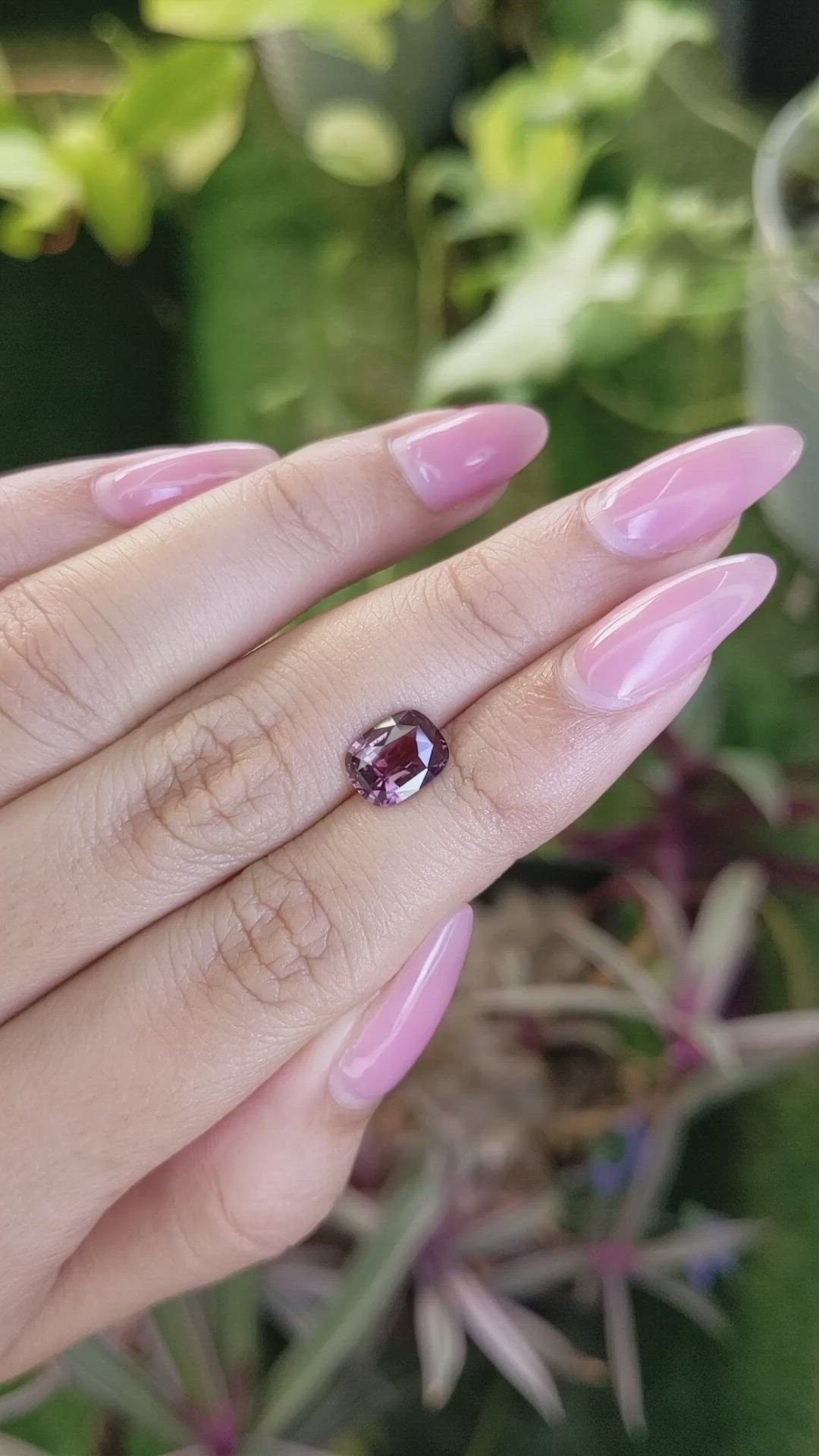 2.01 Ct. Pink Sapphire from Ceylon (Sri Lanka) Size Video