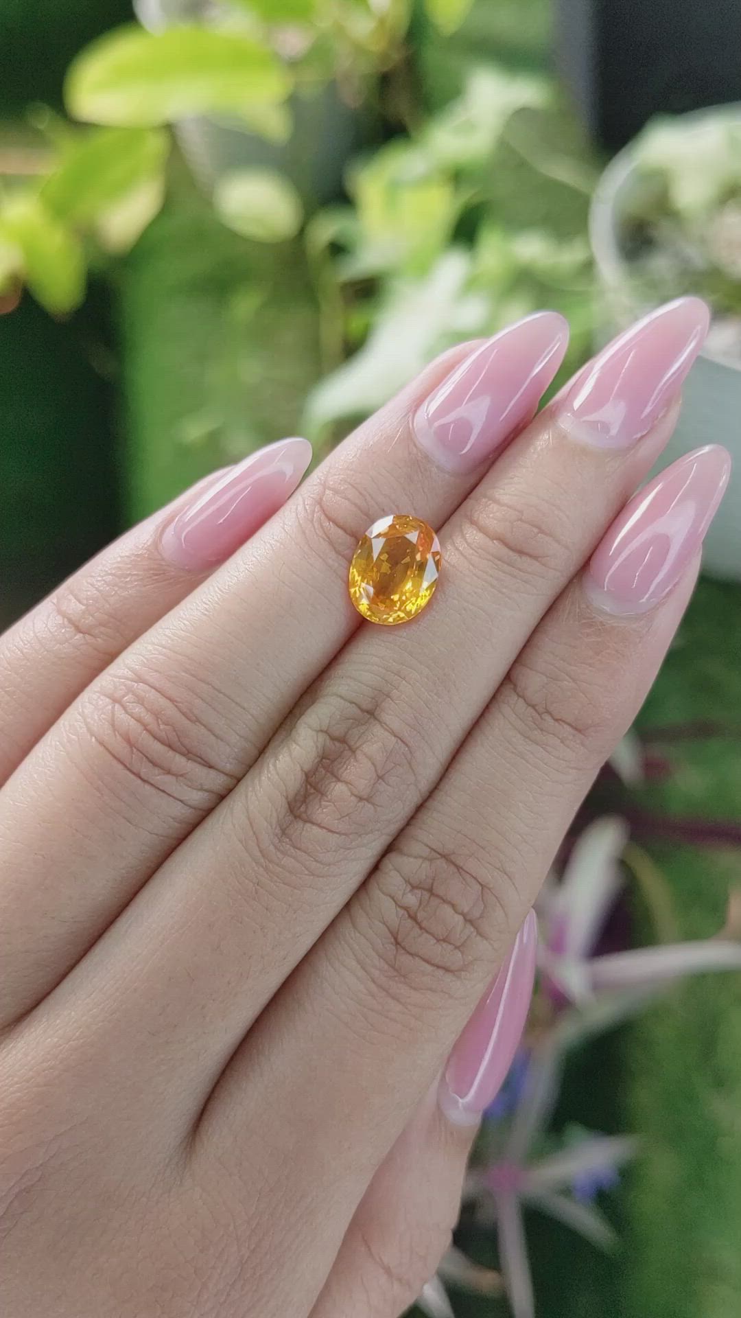 3.64 Ct. Yellowish Orange Sapphire from Ceylon (Sri Lanka) Size Video