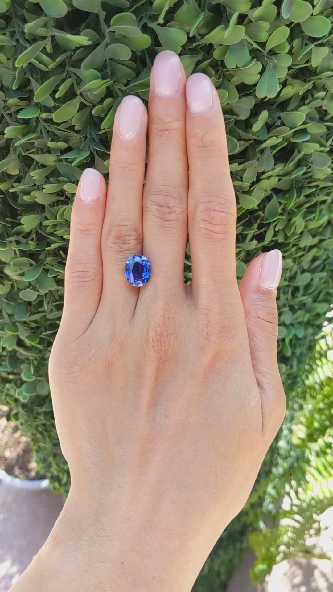 6.49 Ct. Blue Sapphire from Ceylon (Sri Lanka) Size Video