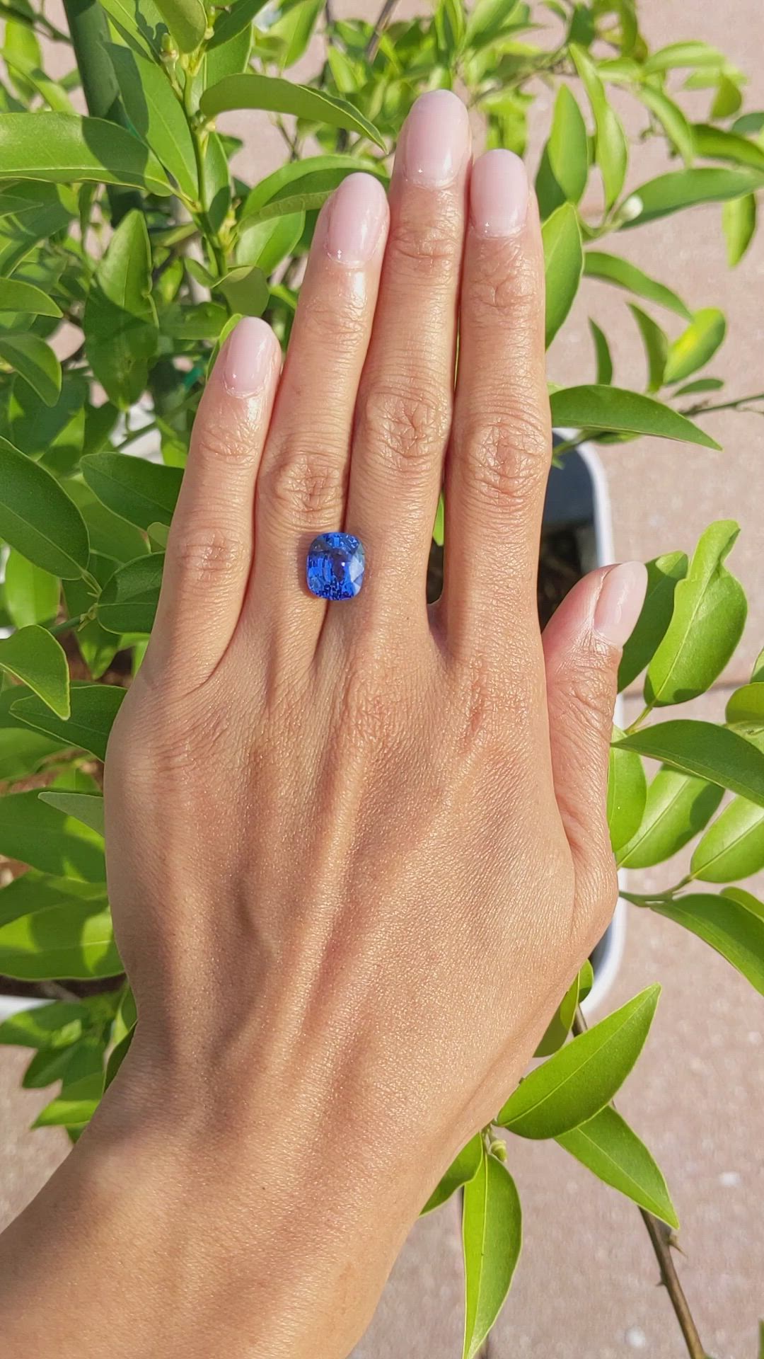 6.82 Ct. Blue Sapphire from Ceylon (Sri Lanka) Size Video