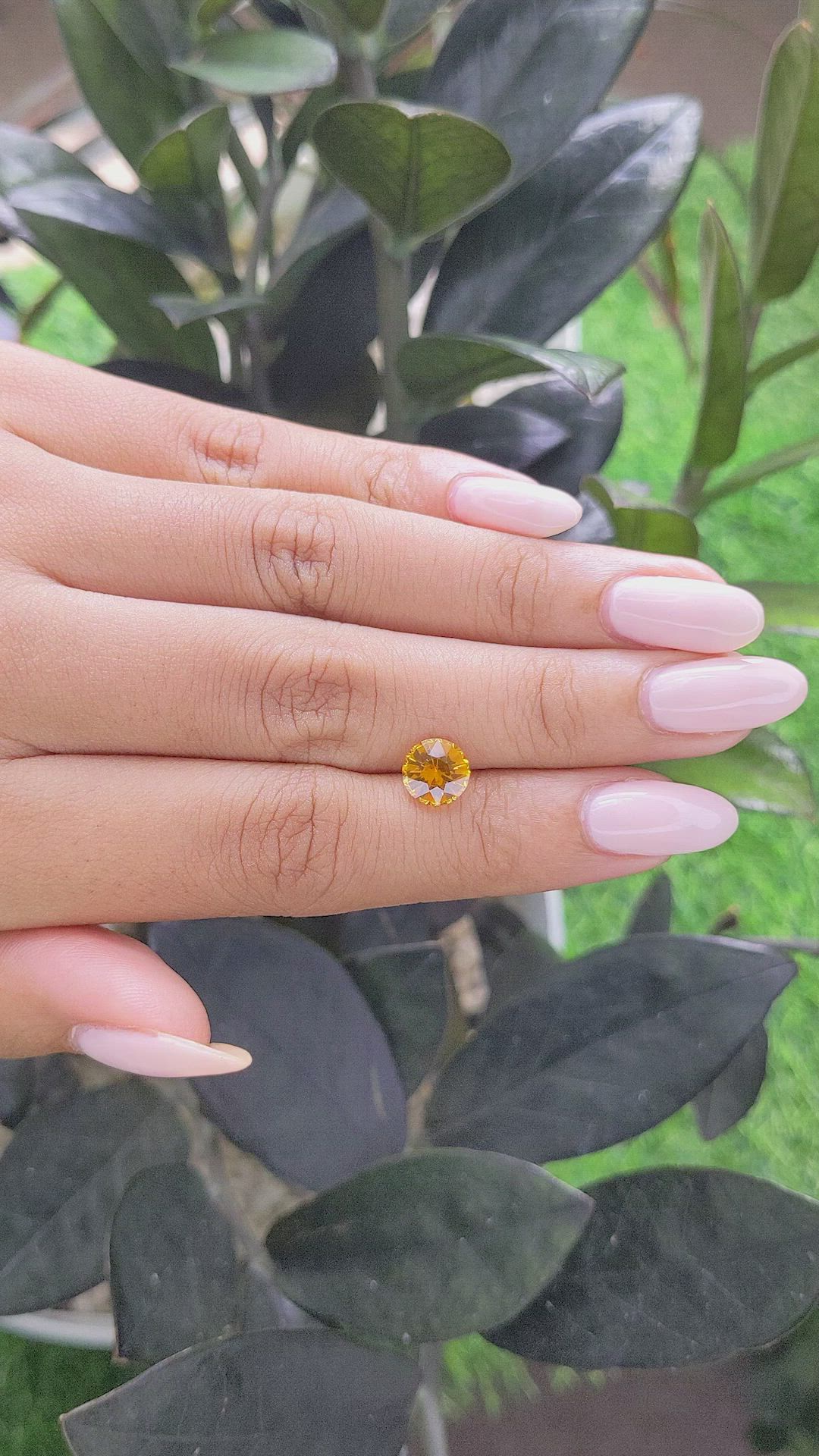 1.68 Ct. Yellowish Orange Sapphire from Ceylon (Sri Lanka) Size Video