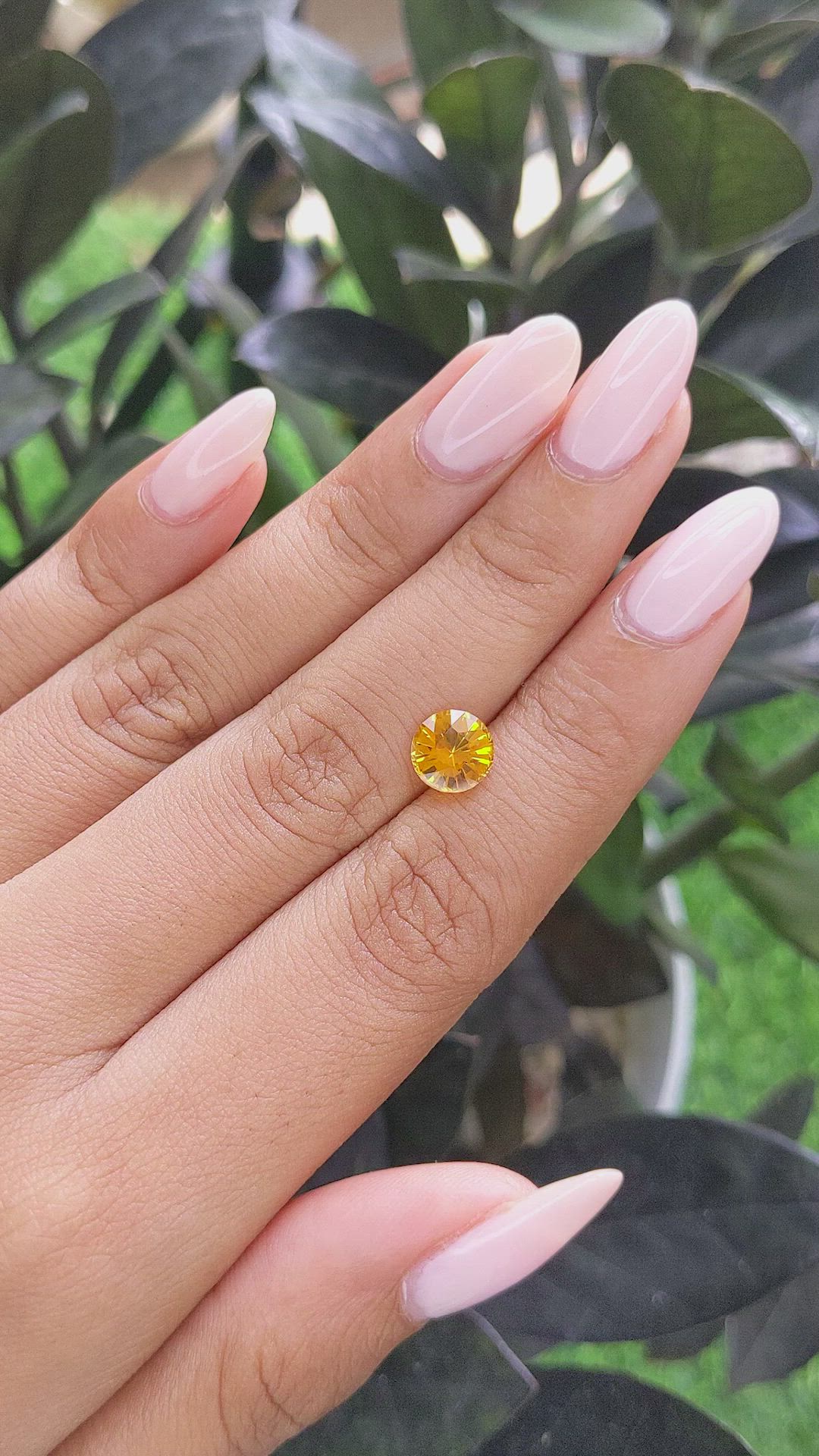 1.68 Ct. Yellowish Orange Sapphire from Ceylon (Sri Lanka) Size Video