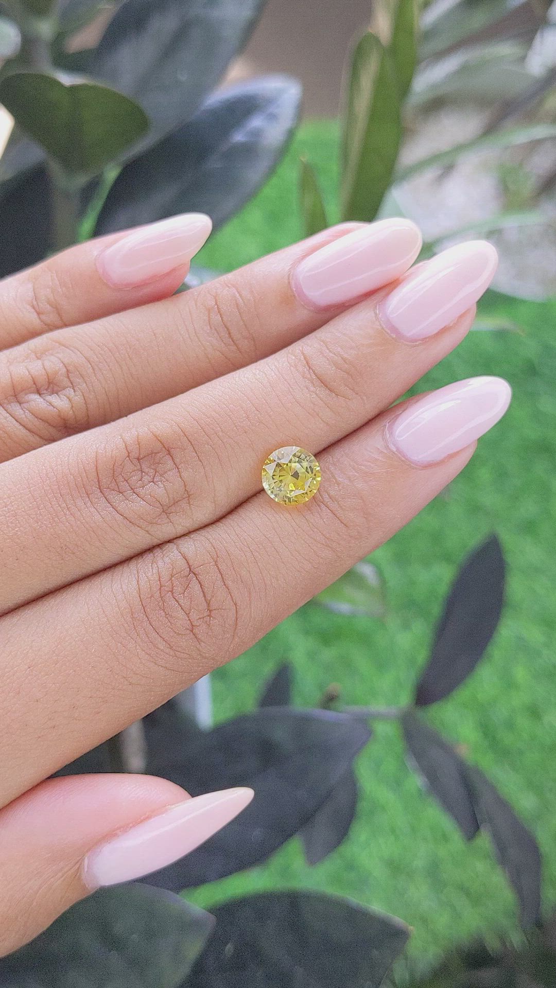 2.30 Ct. Yellow Sapphire from Ceylon (Sri Lanka) Size Video