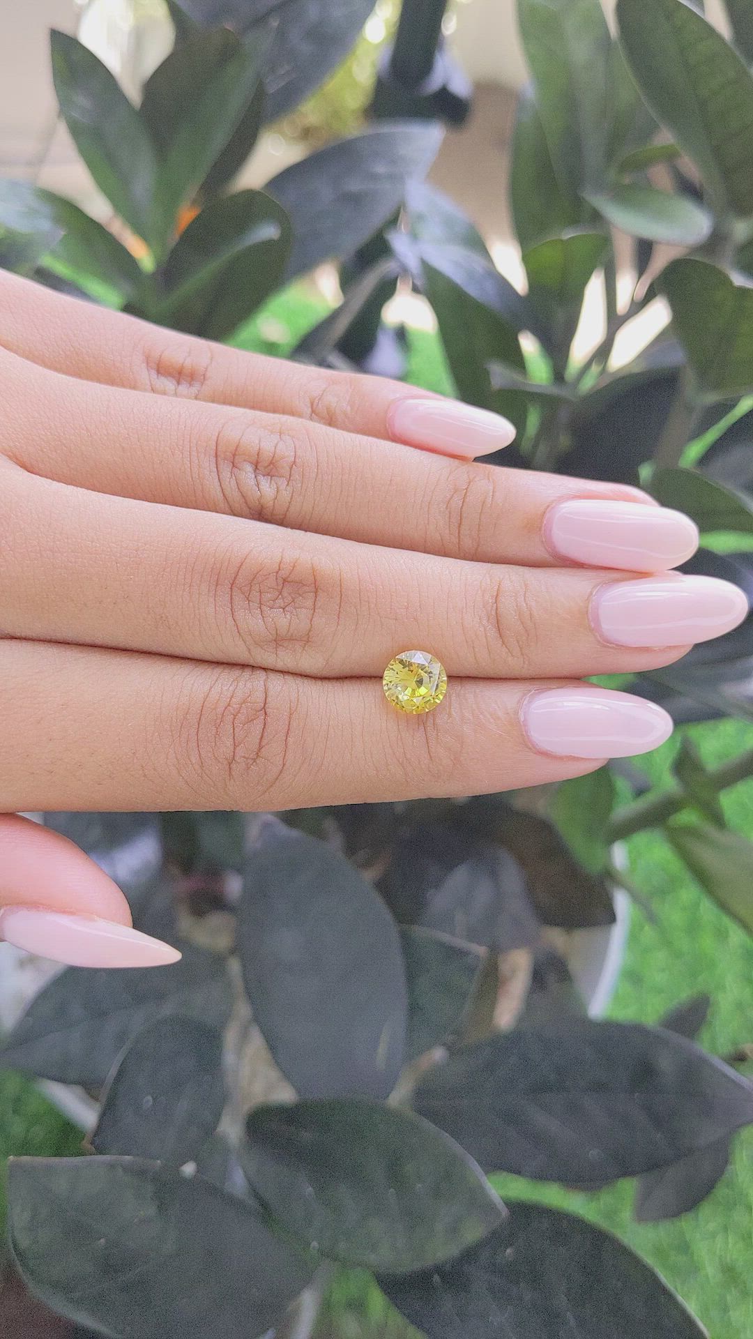 2.30 Ct. Yellow Sapphire from Ceylon (Sri Lanka) Size Video