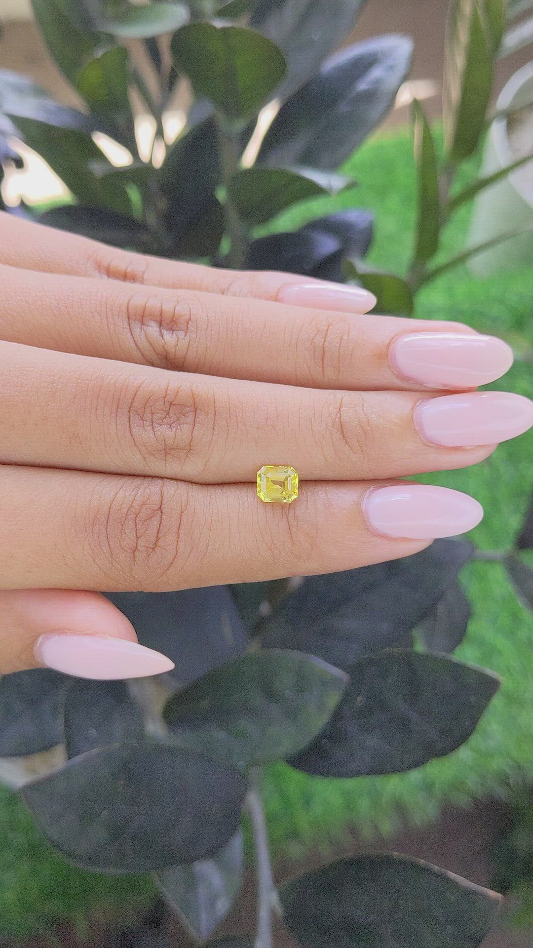 1.15 Ct. Yellow Sapphire from Ceylon (Sri Lanka) Size Video