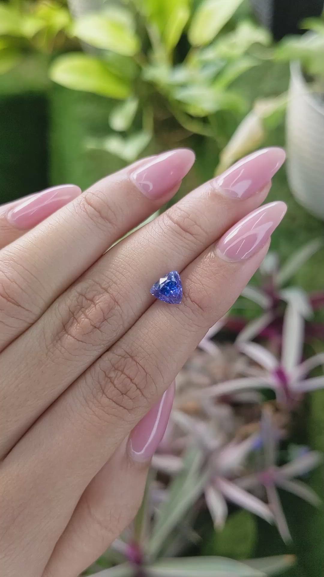 1.83 Ct. Blue Sapphire from Ceylon (Sri Lanka) Size Video