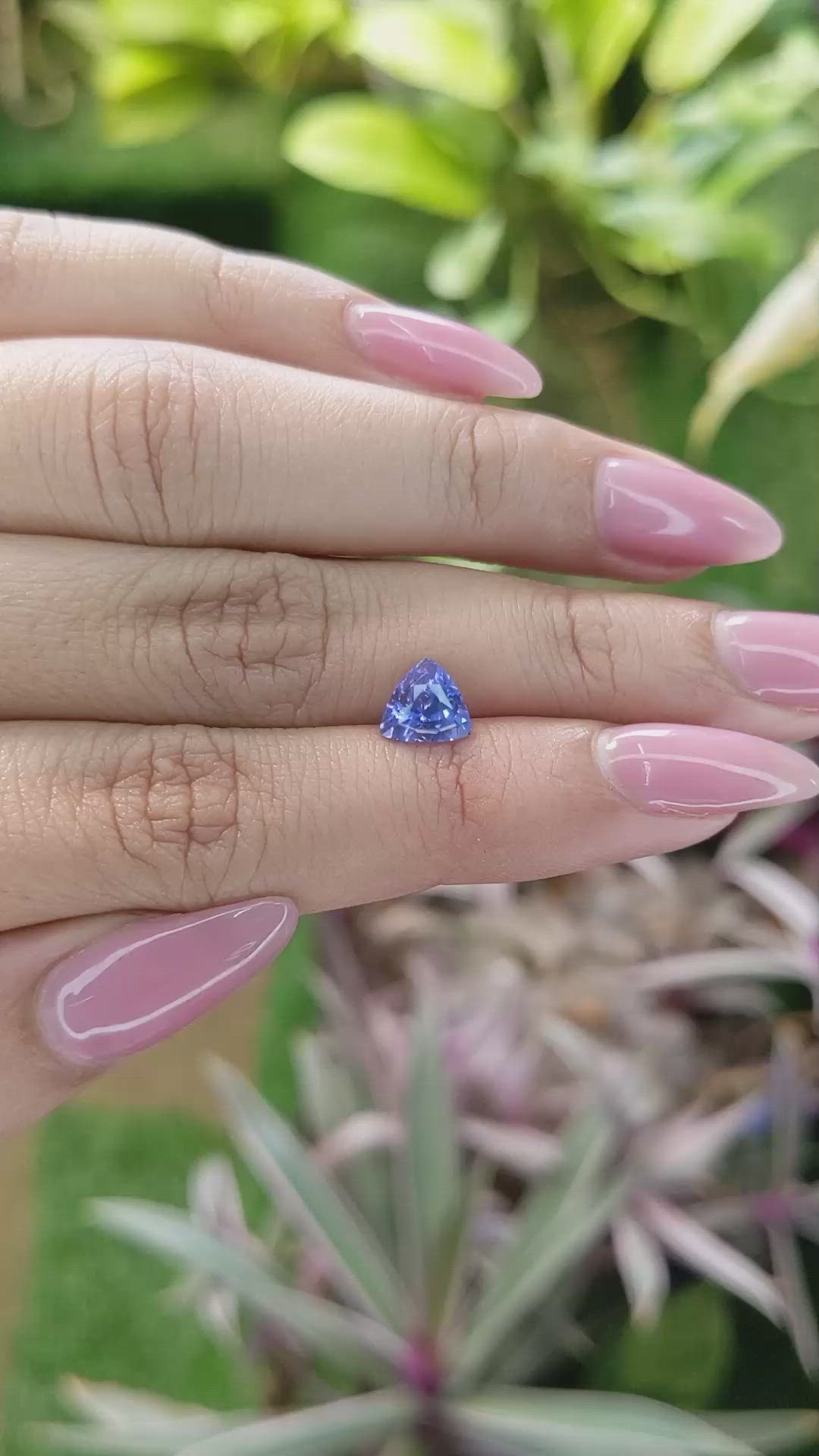 1.83 Ct. Blue Sapphire from Ceylon (Sri Lanka) Size Video