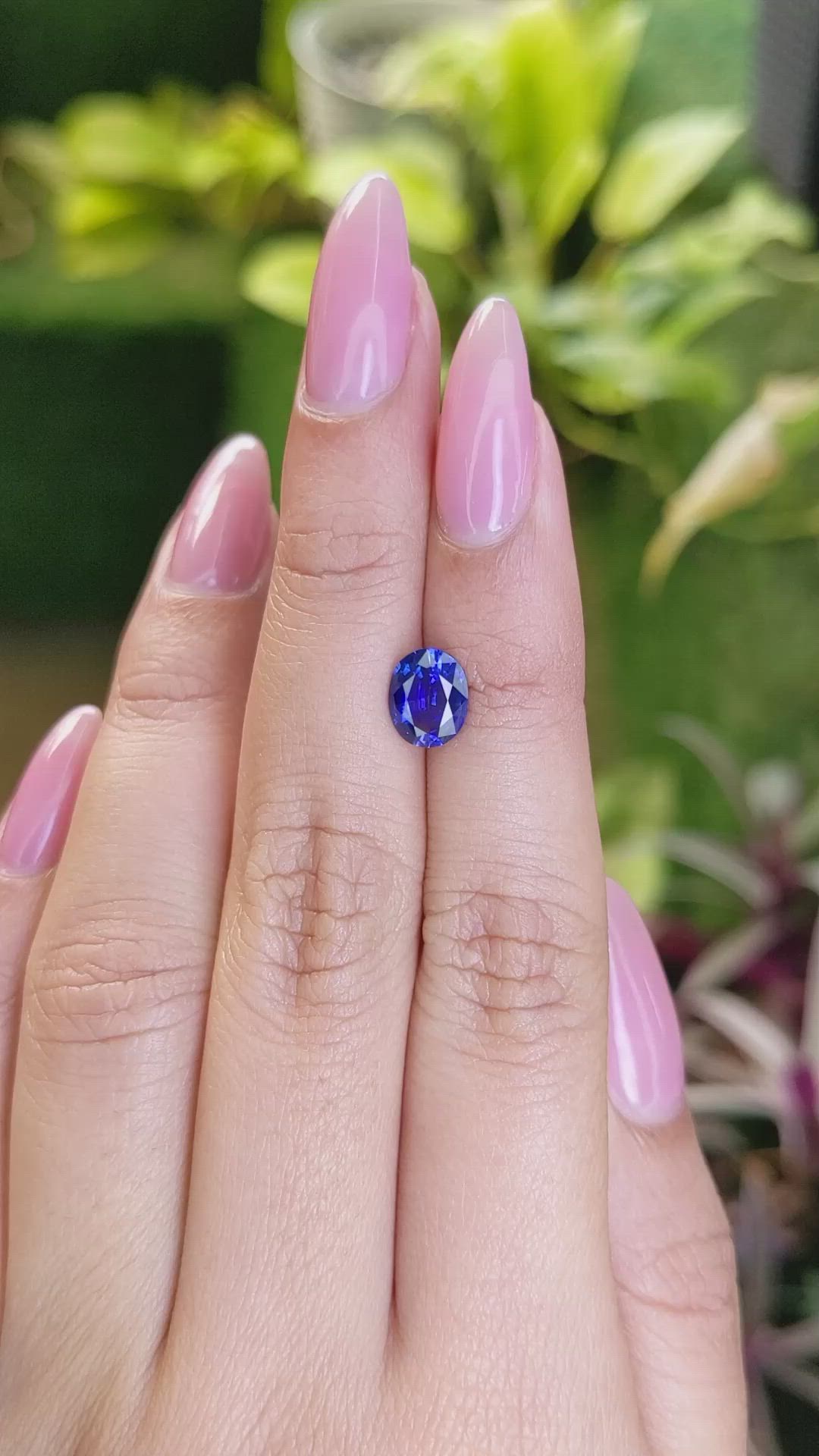 1.56 Ct. Blue Sapphire from Ceylon (Sri Lanka) Size Video