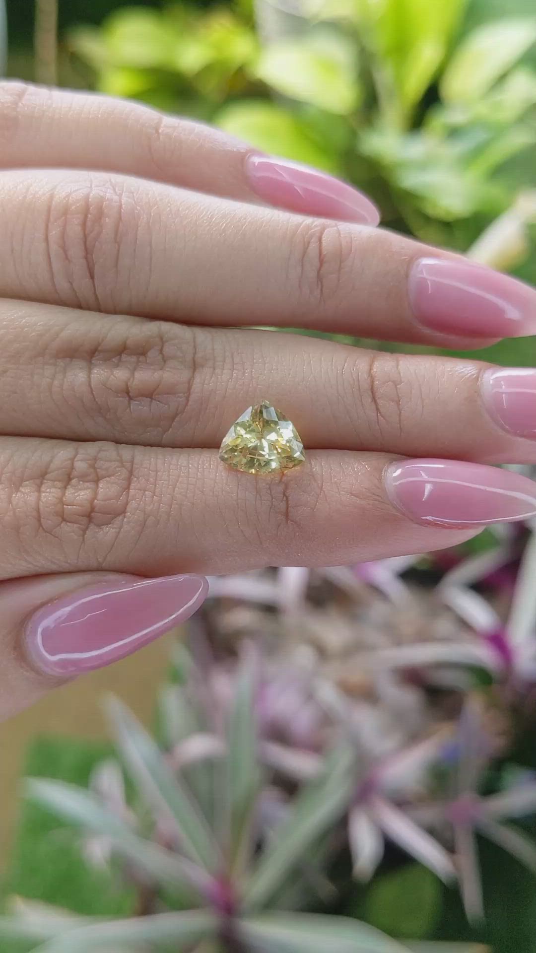 2.45 Ct. Yellow Sapphire from Ceylon (Sri Lanka) Size Video