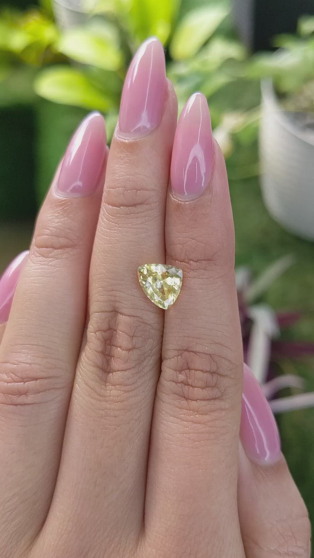 2.45 Ct. Yellow Sapphire from Ceylon (Sri Lanka) Size Video
