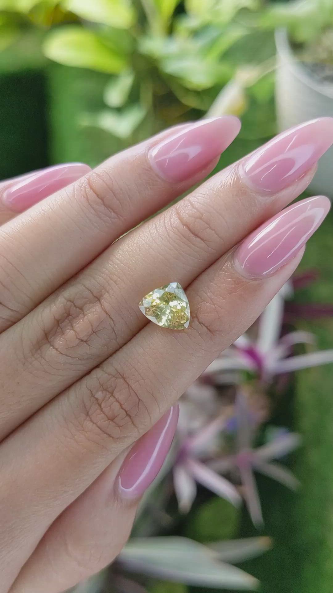 2.45 Ct. Yellow Sapphire from Ceylon (Sri Lanka) Size Video