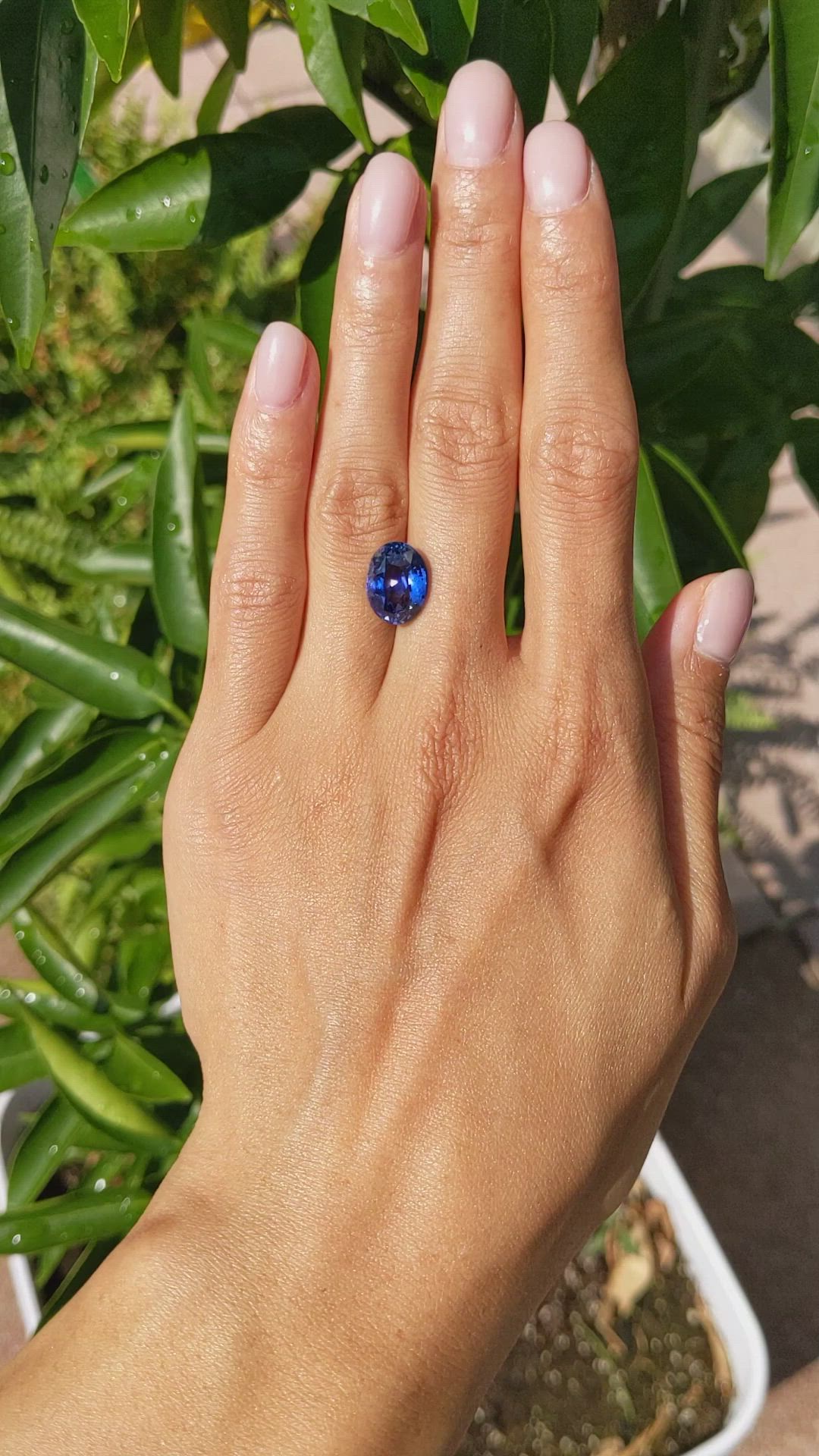 6.09 Ct. Blue Sapphire from Ceylon (Sri Lanka) Size Video