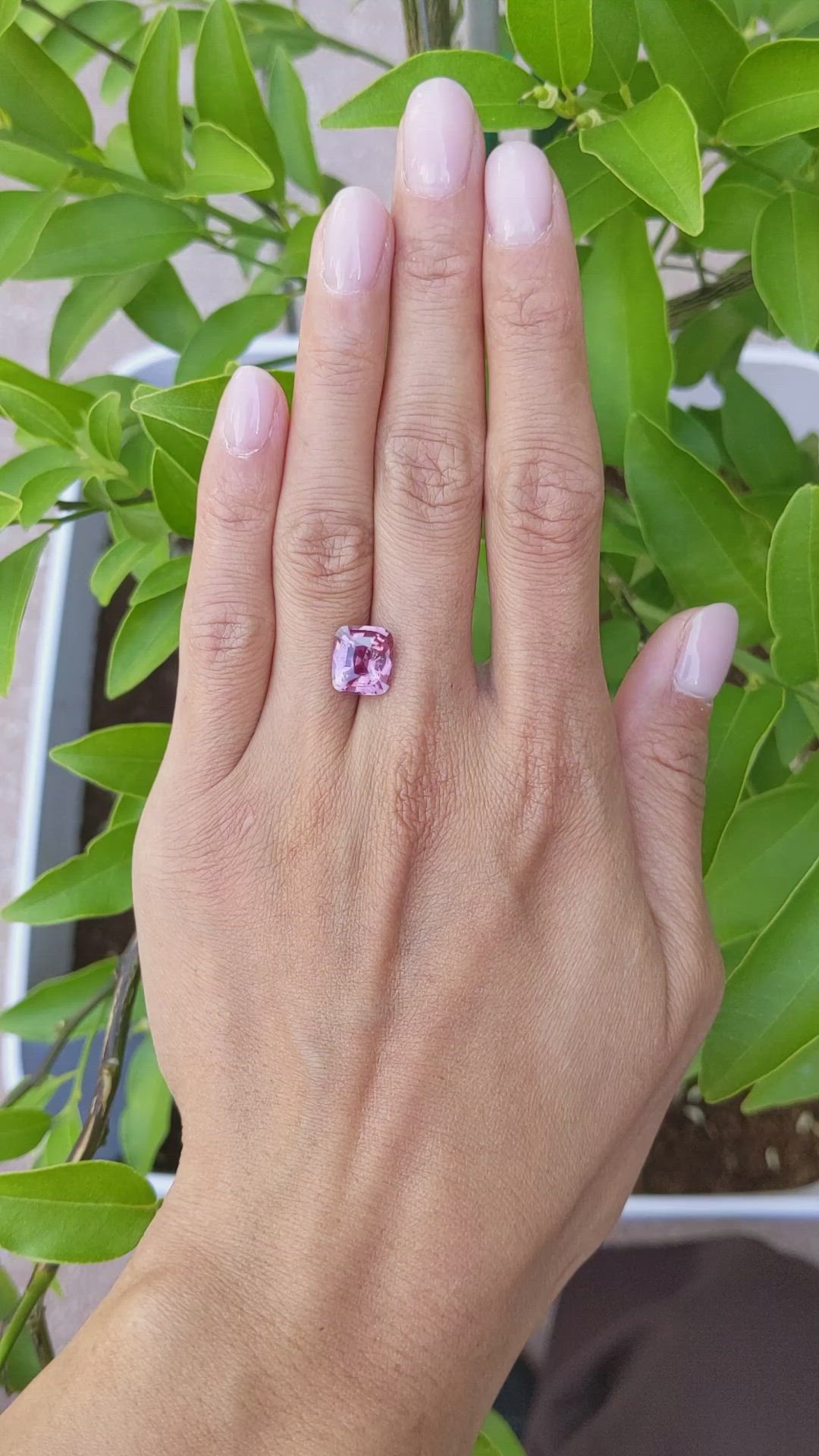 4.56 Ct. Padparadscha Sapphire from Madagascar Size Video