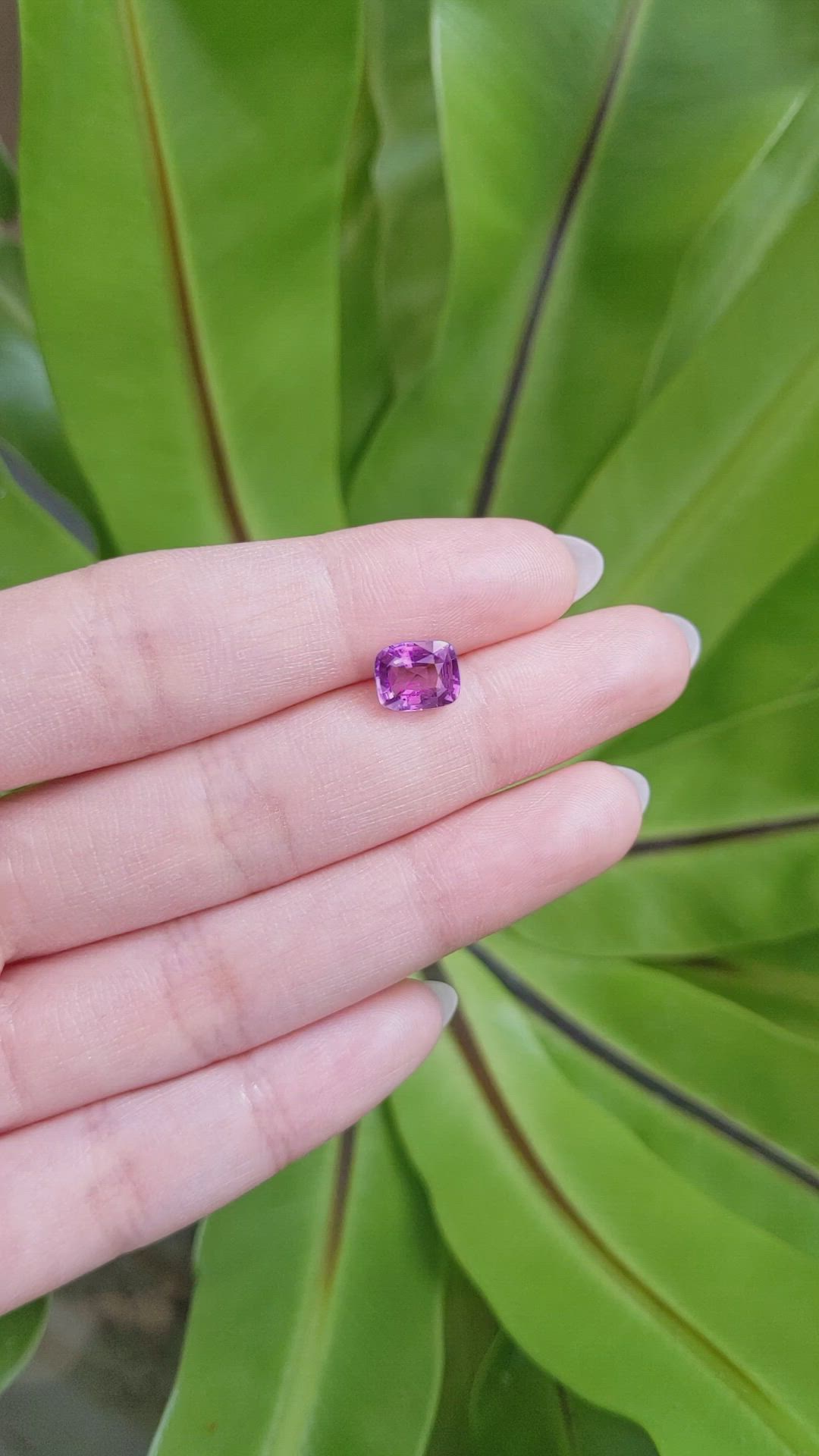 1.98 Ct. Pinkish Purple Sapphire from Ceylon (Sri Lanka) Size Video