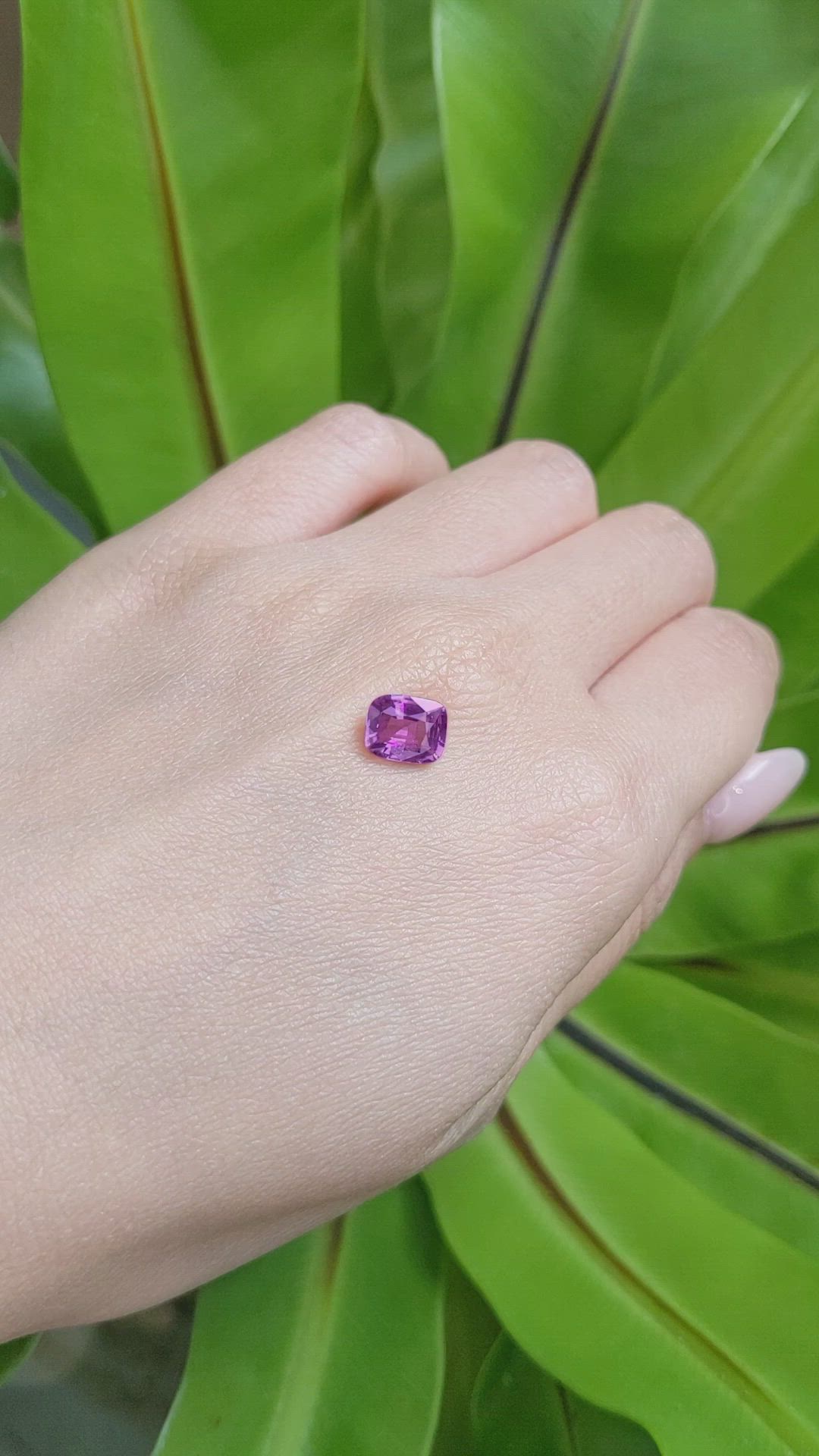 1.98 Ct. Pinkish Purple Sapphire from Ceylon (Sri Lanka) Size Video