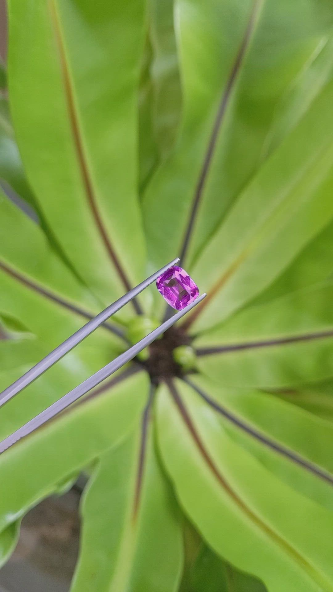 1.98 Ct. Pinkish Purple Sapphire from Ceylon (Sri Lanka) Size Video