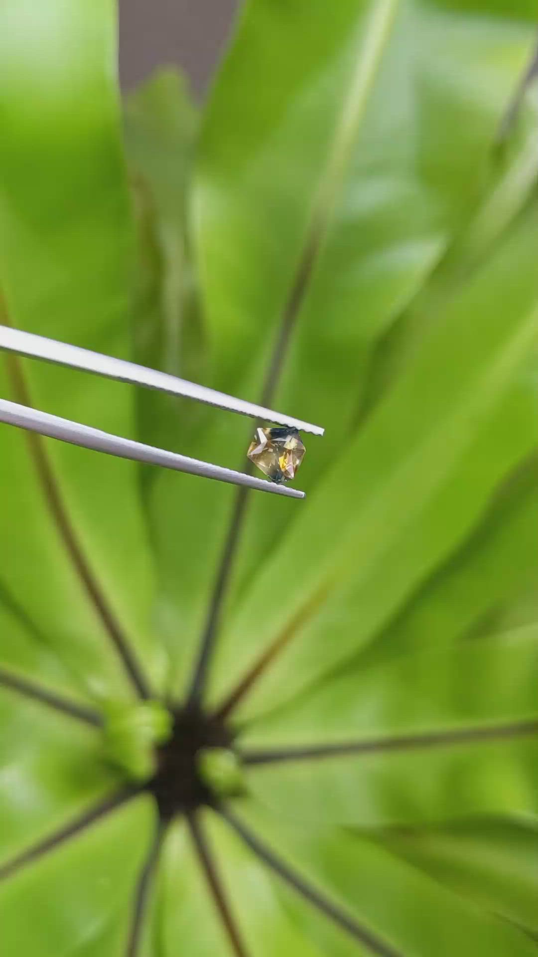 0.73 Ct. Bi Color Sapphire from Montana Size Video