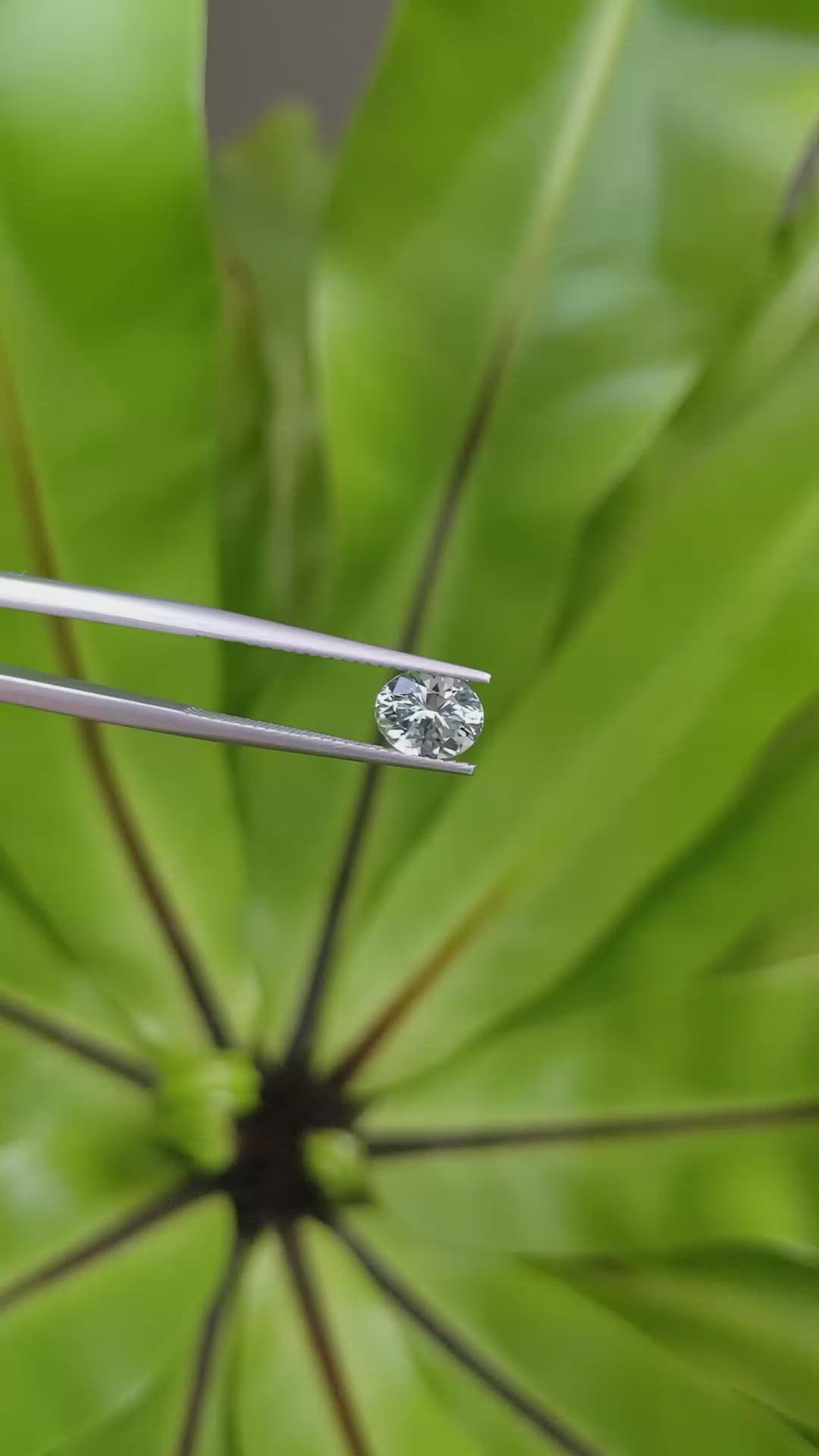 1.40 Ct. Bluish Green Sapphire from Montana Size Video