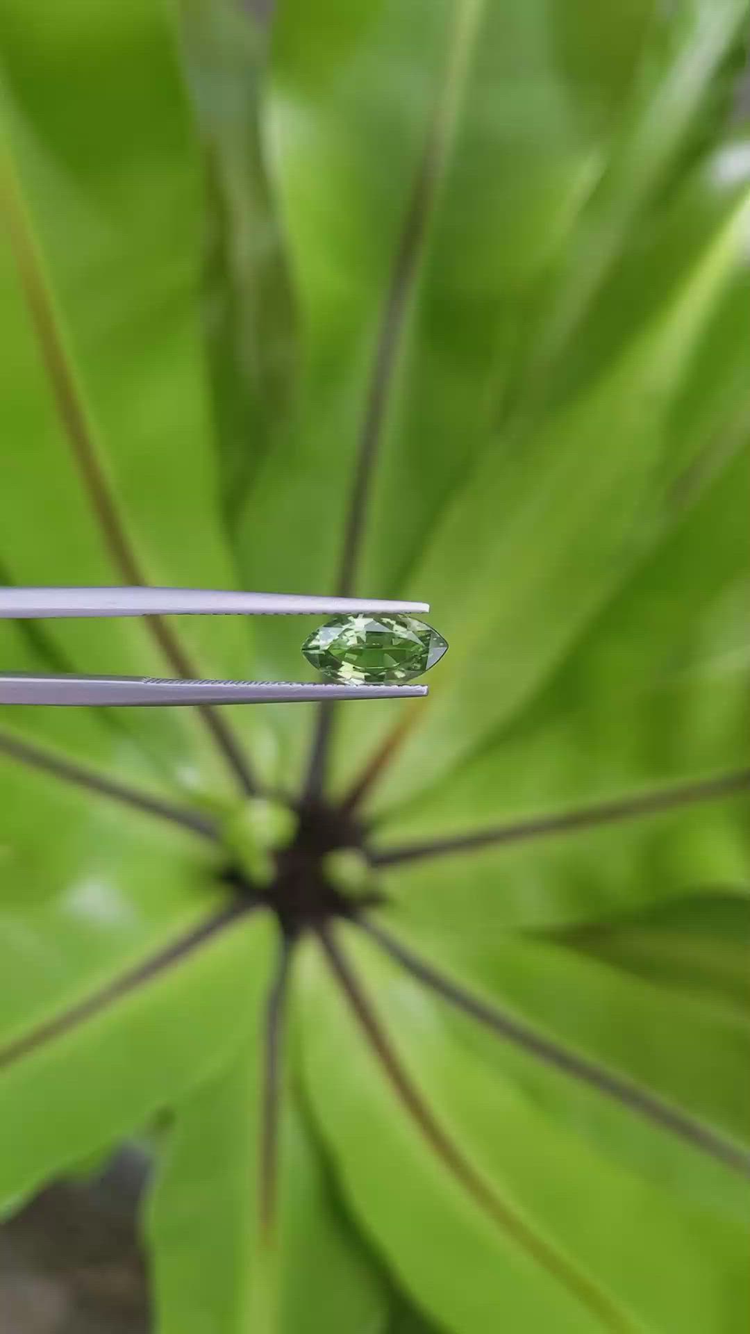 1.64 Ct. Green Sapphire from Ceylon (Sri Lanka) Size Video