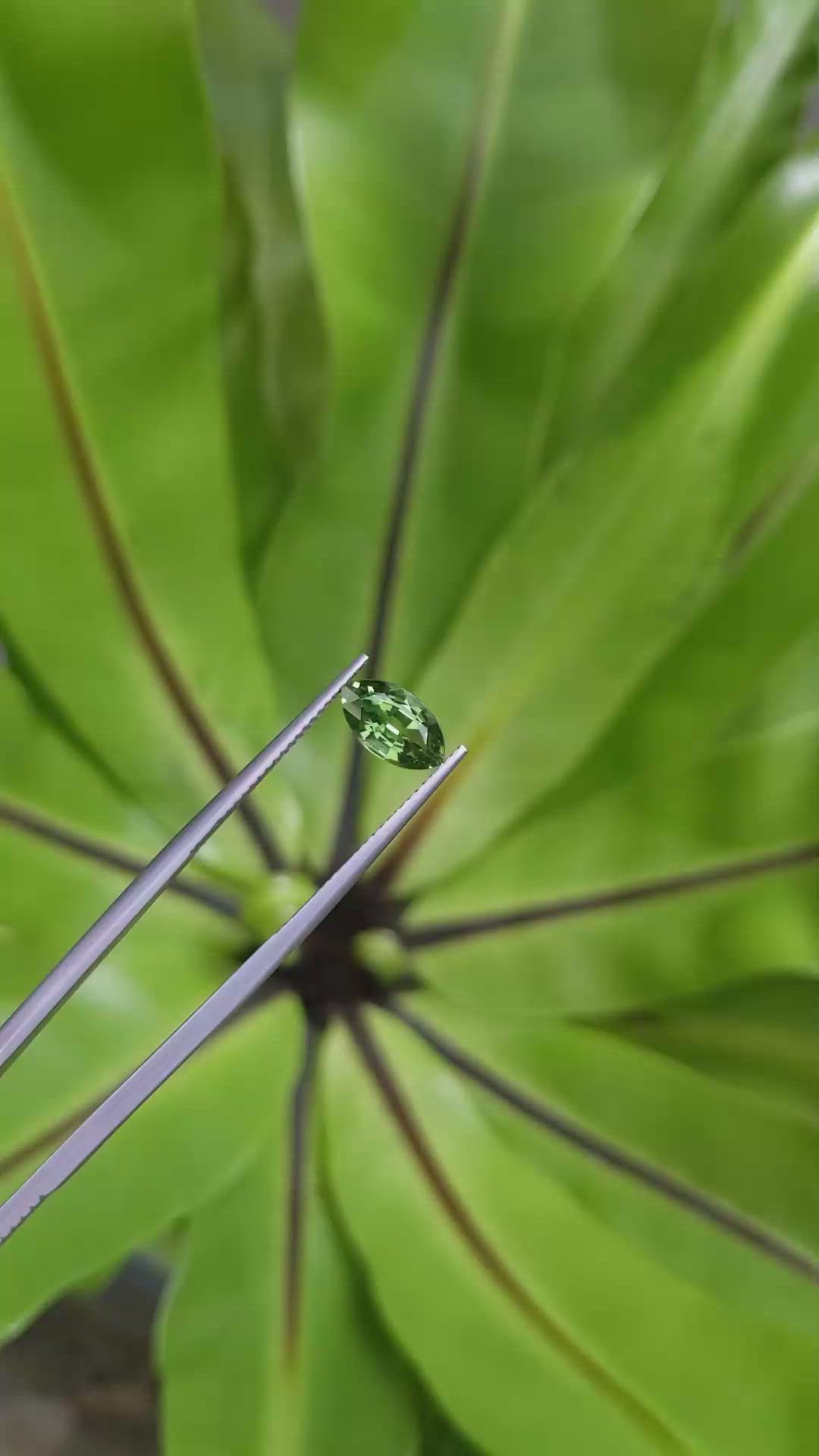 1.66 Ct. Green Sapphire from Ceylon (Sri Lanka) Size Video
