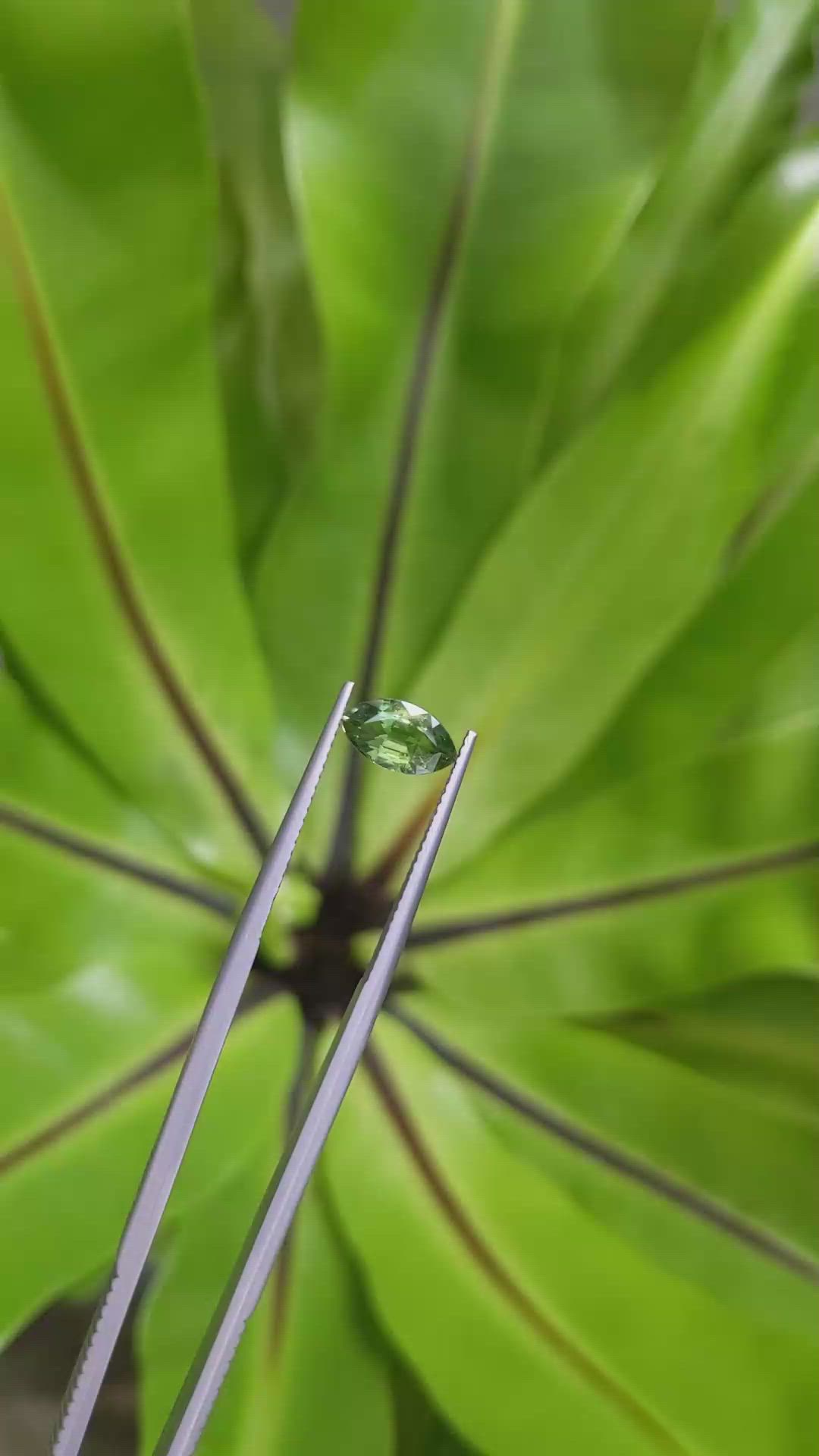 1.43 Ct. Green Sapphire from Ceylon (Sri Lanka) Size Video
