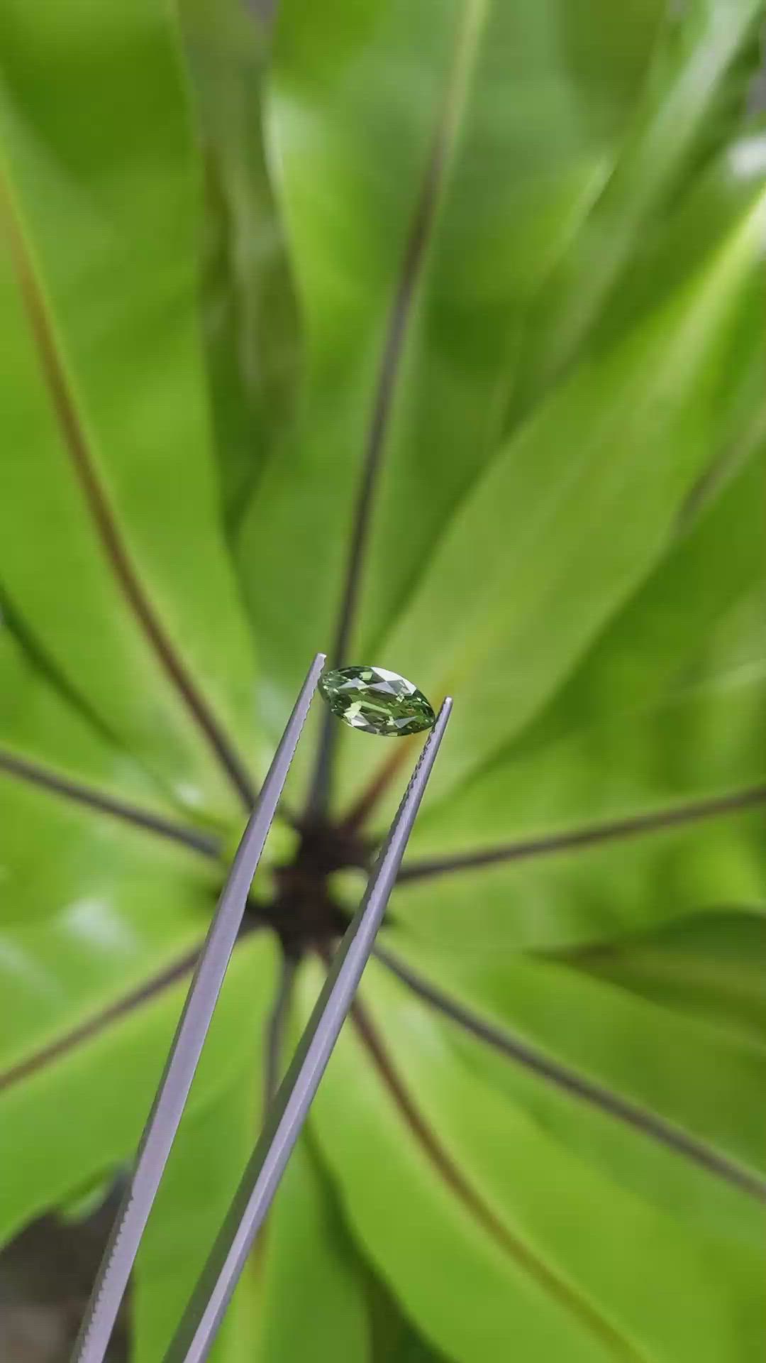 1.42 Ct. Green Sapphire from Ceylon (Sri Lanka) Size Video