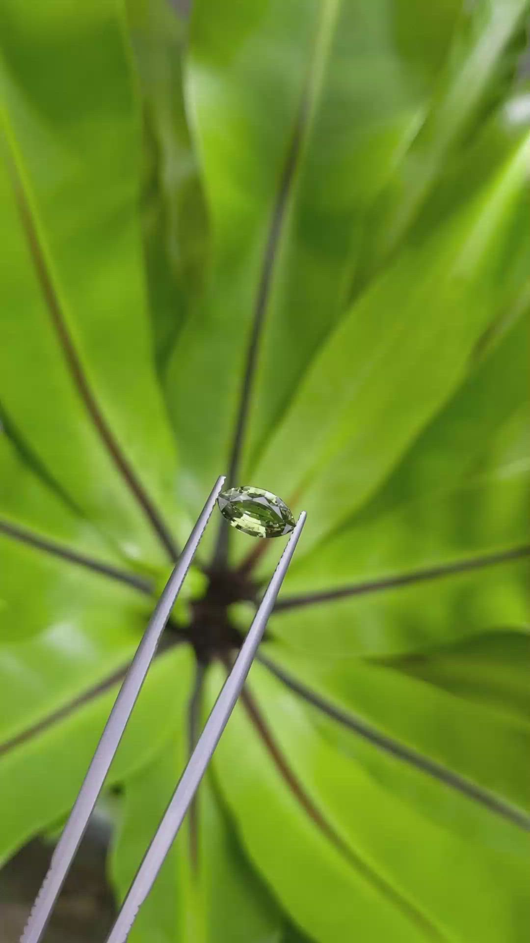 1.14 Ct. Green Sapphire from Ceylon (Sri Lanka) Size Video
