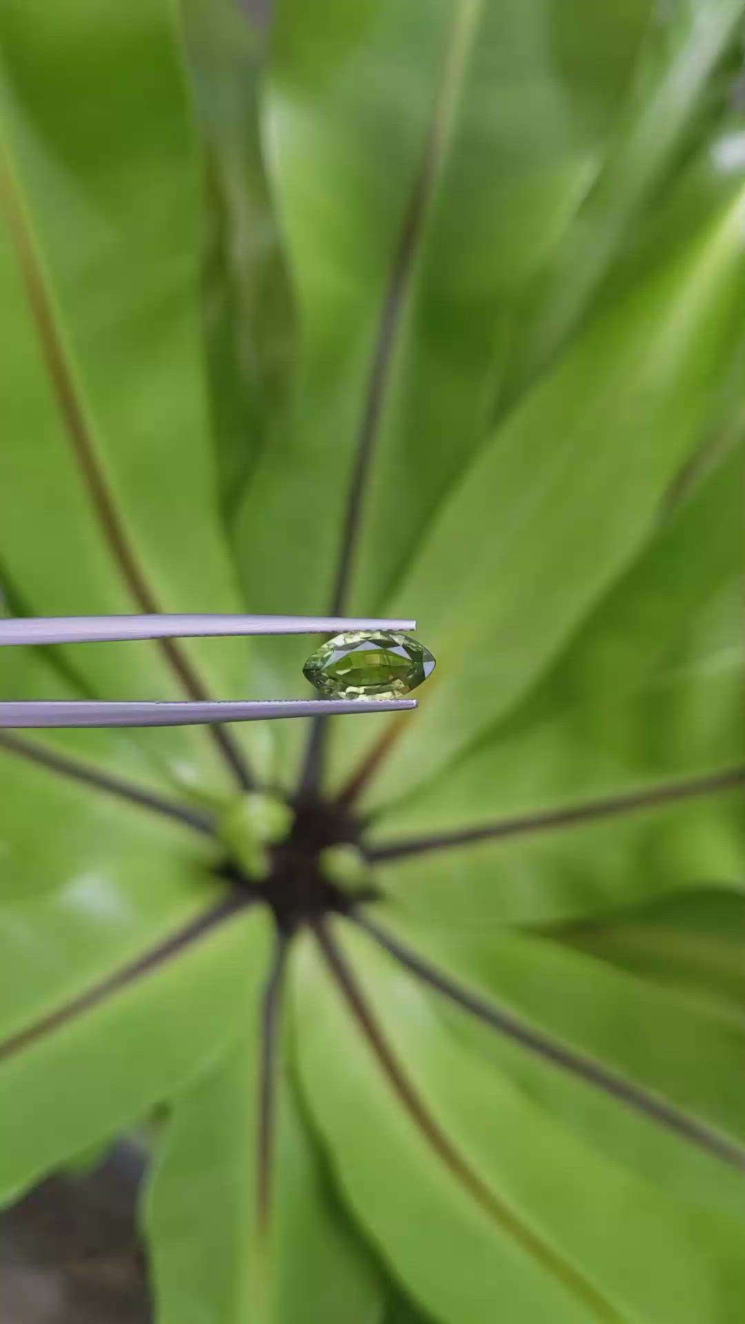 1.25 Ct. Green Sapphire from Ceylon (Sri Lanka) Size Video