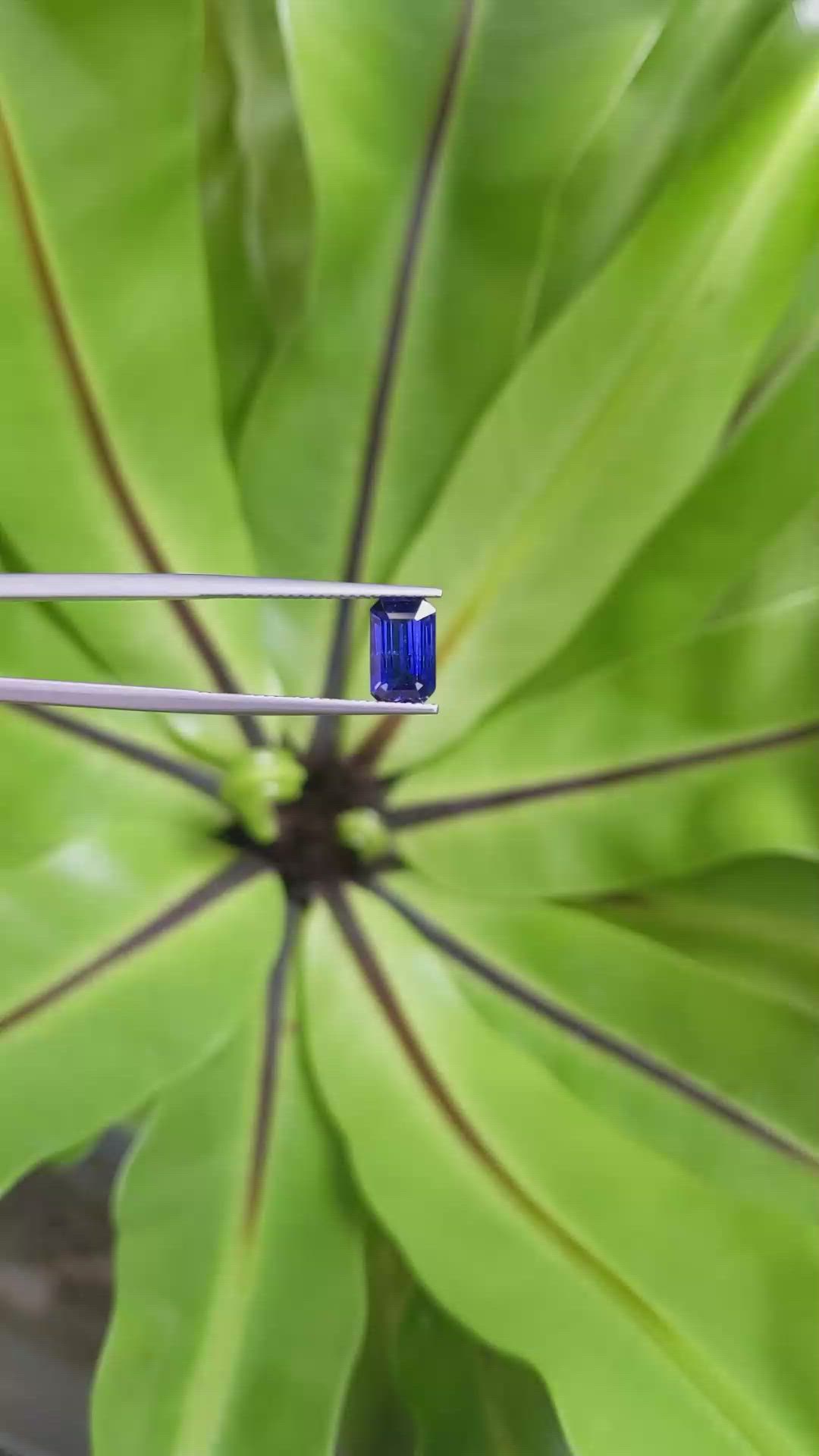 1.94 Ct. Blue Sapphire from Ceylon (Sri Lanka) Size Video